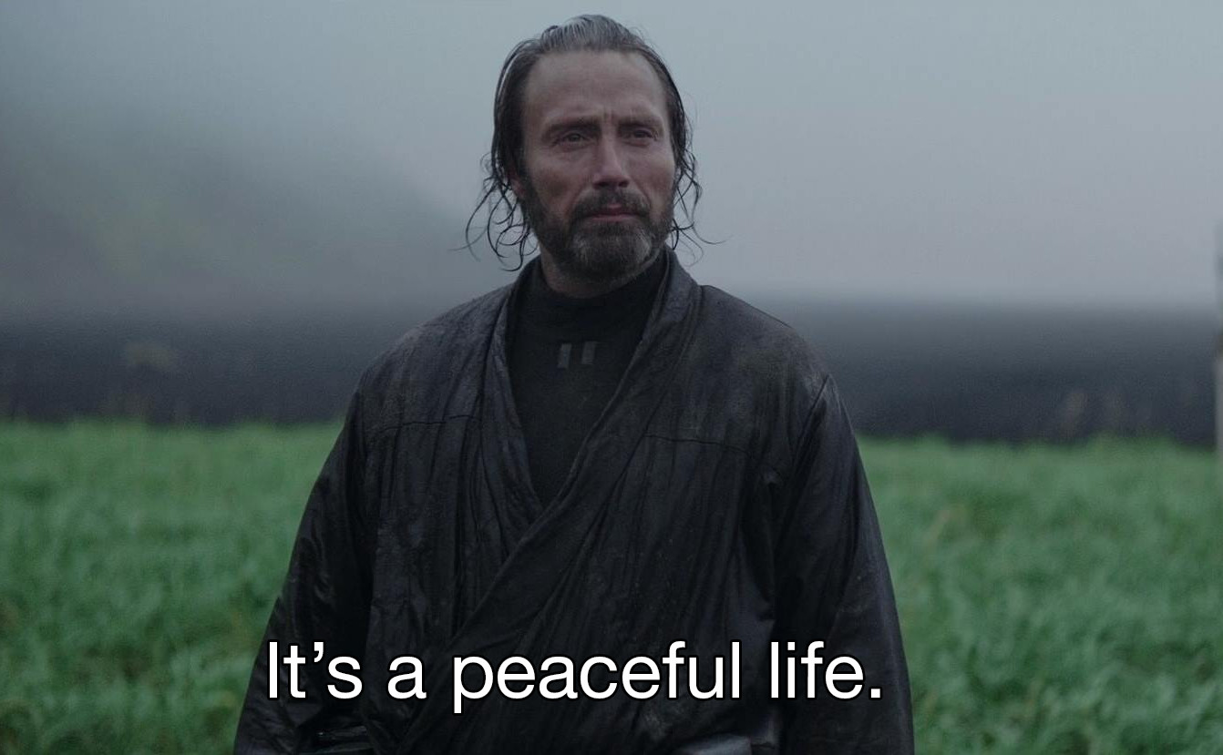 Galen Erso from star wars calmly saying "It's a peaceful life."