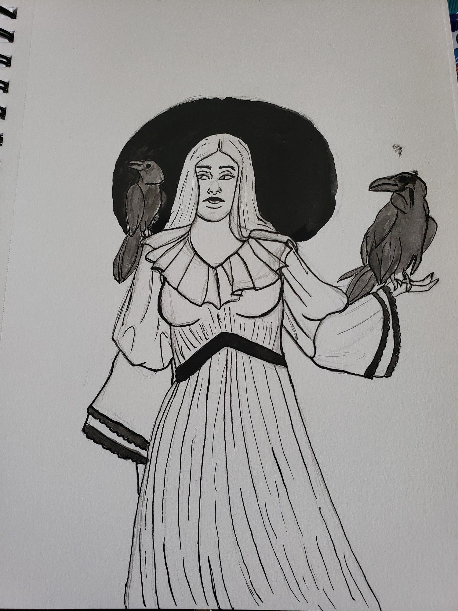 Drawing done in ink of a witch holding a raven on one hand and a raven on her other shoulder.  She has a giant black hat and a long white dress with black accents.