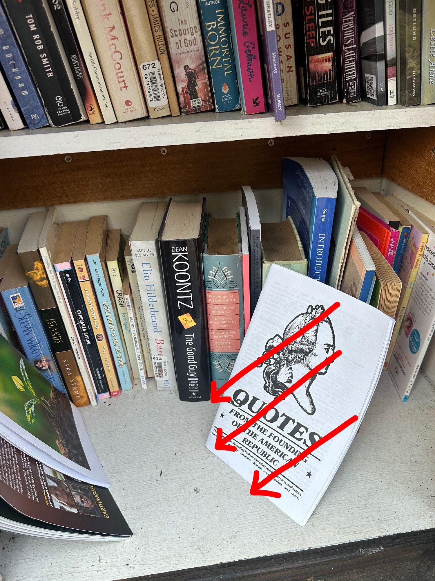 A photo of the inside of a little free library. A patriot front zine sits propped up against the books, with three red arrows added onto the image to cover the dorky zine.