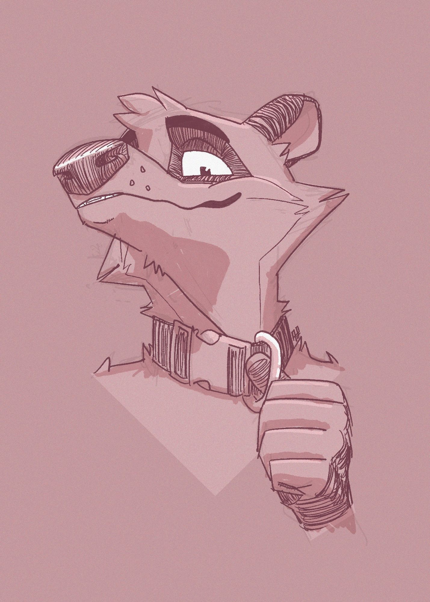 A raccoon wearing a collar