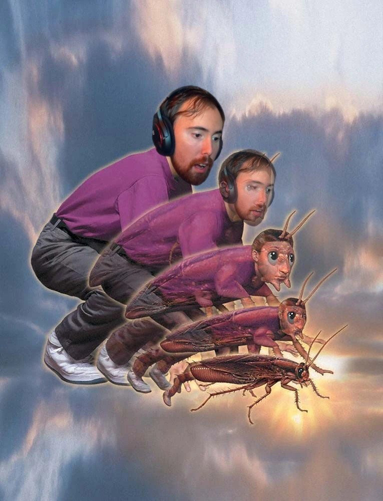 Asmongold animorph transforming into a cockroach. named after the slow transition of features, which was always featured on the animorphs book covers