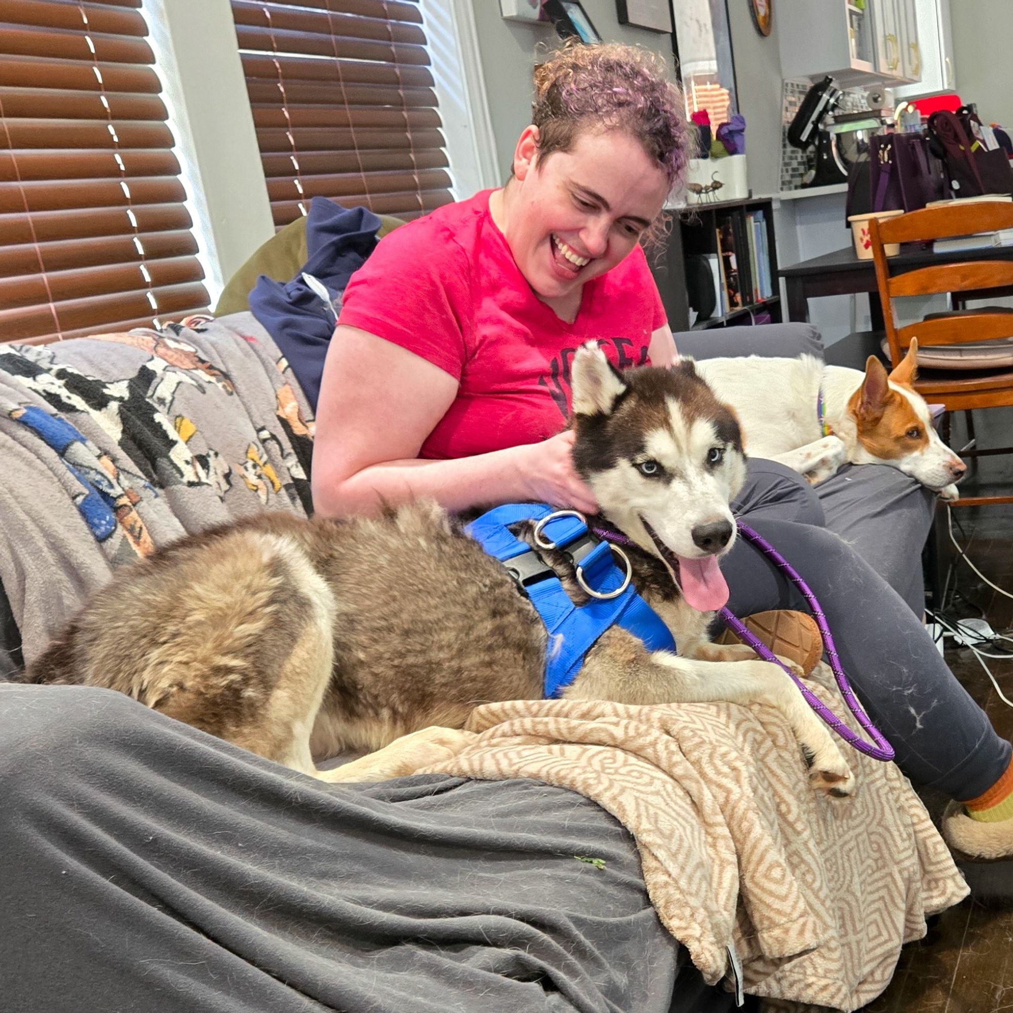 A woman sits on a couch with dogs on either side of her.