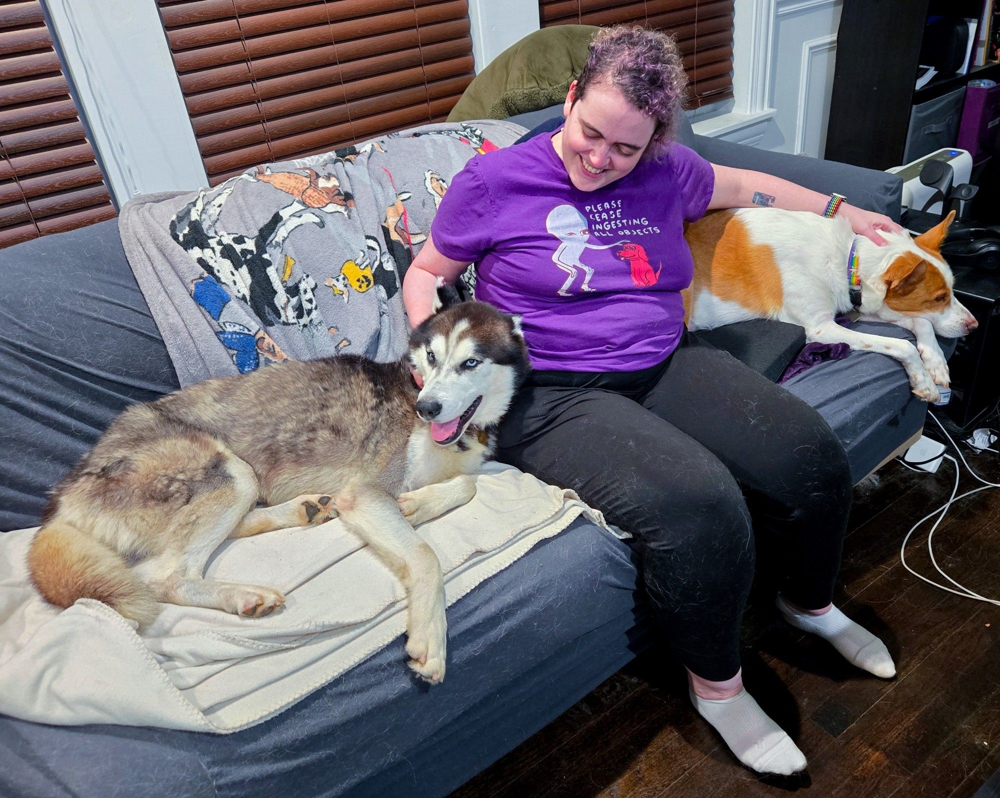 A woman in a purple shirt on a couch between two dogs.