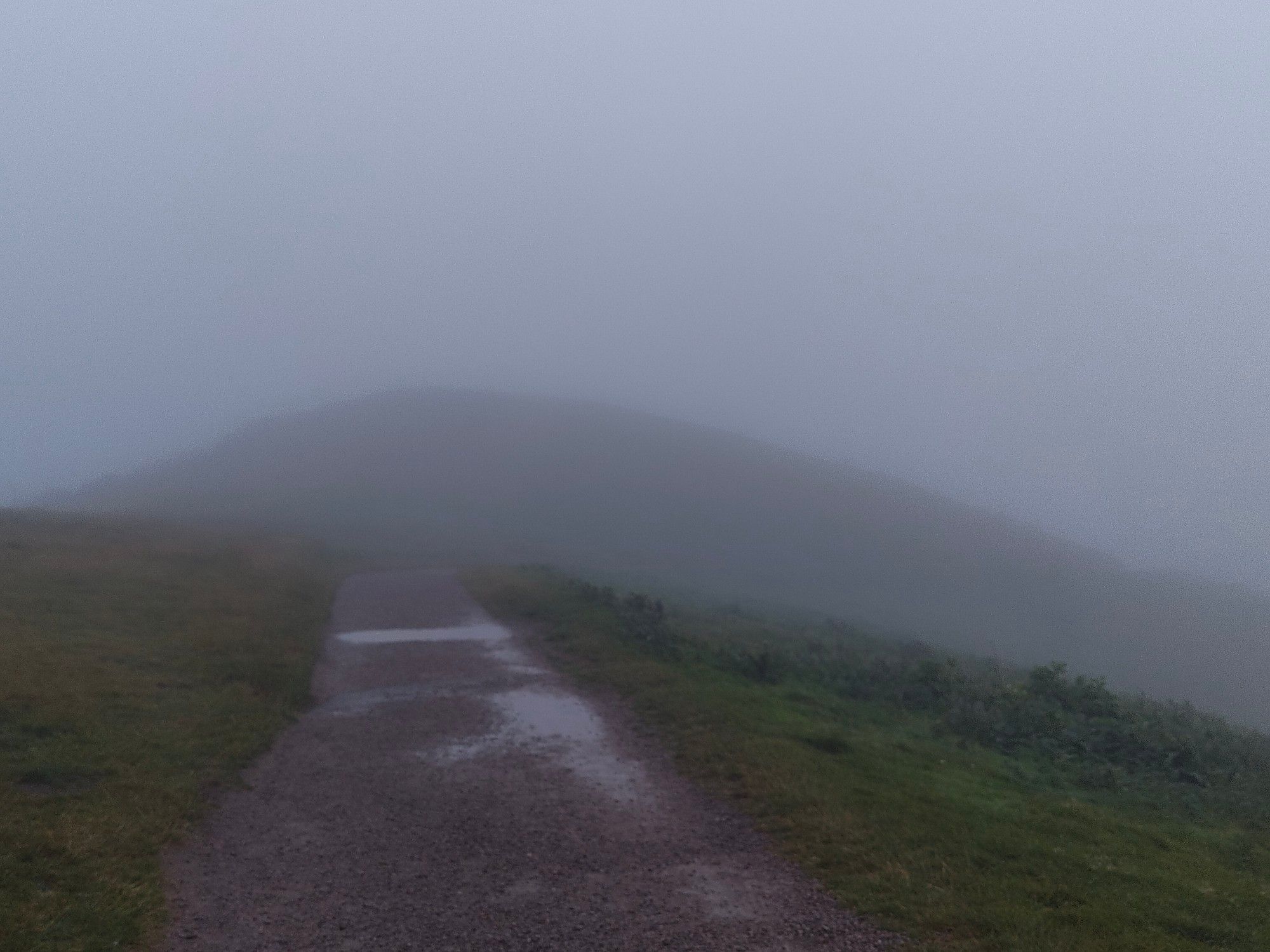 A foggy hill with a gravel path leading towards it