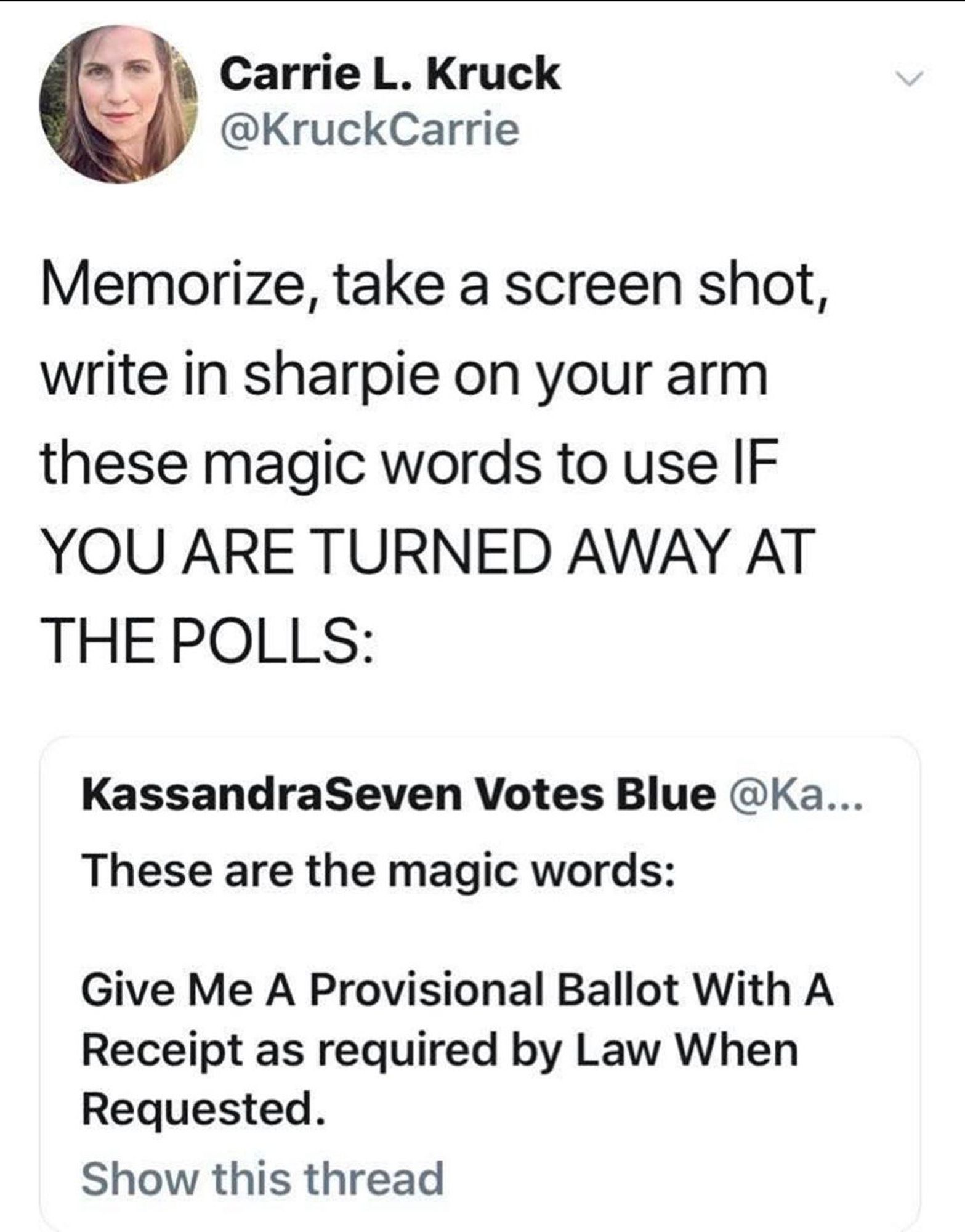 A screenshot from twitter from user Carrie L. Kruck: "Memorize, take a screen shot, write in sharpie on your arm these magic words to use IF YOU ARE TURNED AWAY AT THE POLLS:"

Below that is a quoted tweet from KassandraSeven Votes Blue: "These are the magic words:

Give Me A Provisional Ballot With A Receipt as required by Law When Requested."