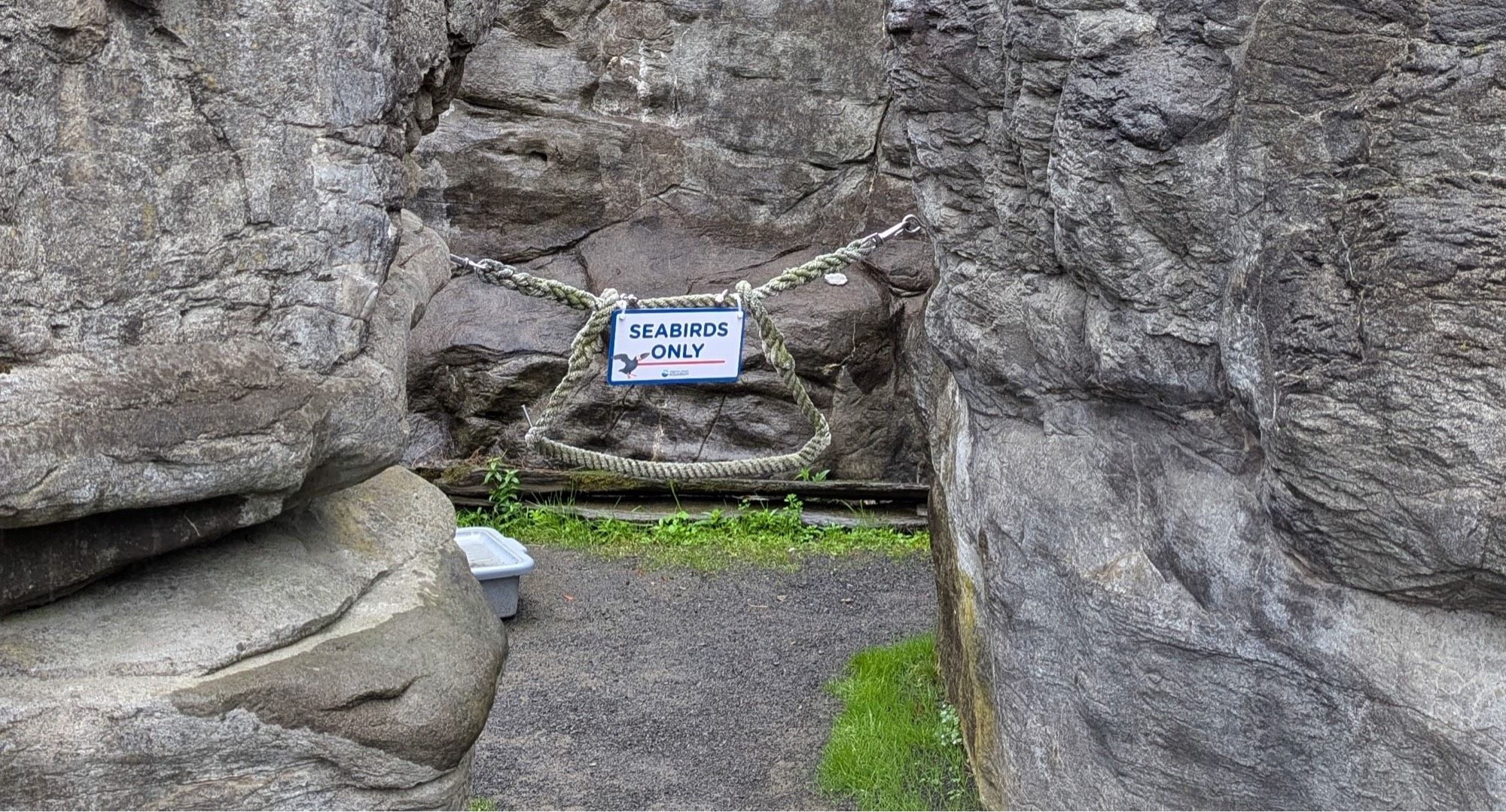 A sign hangs from a rope across a set of rocky stairs. The sign reads “SEABIRDS ONLY”