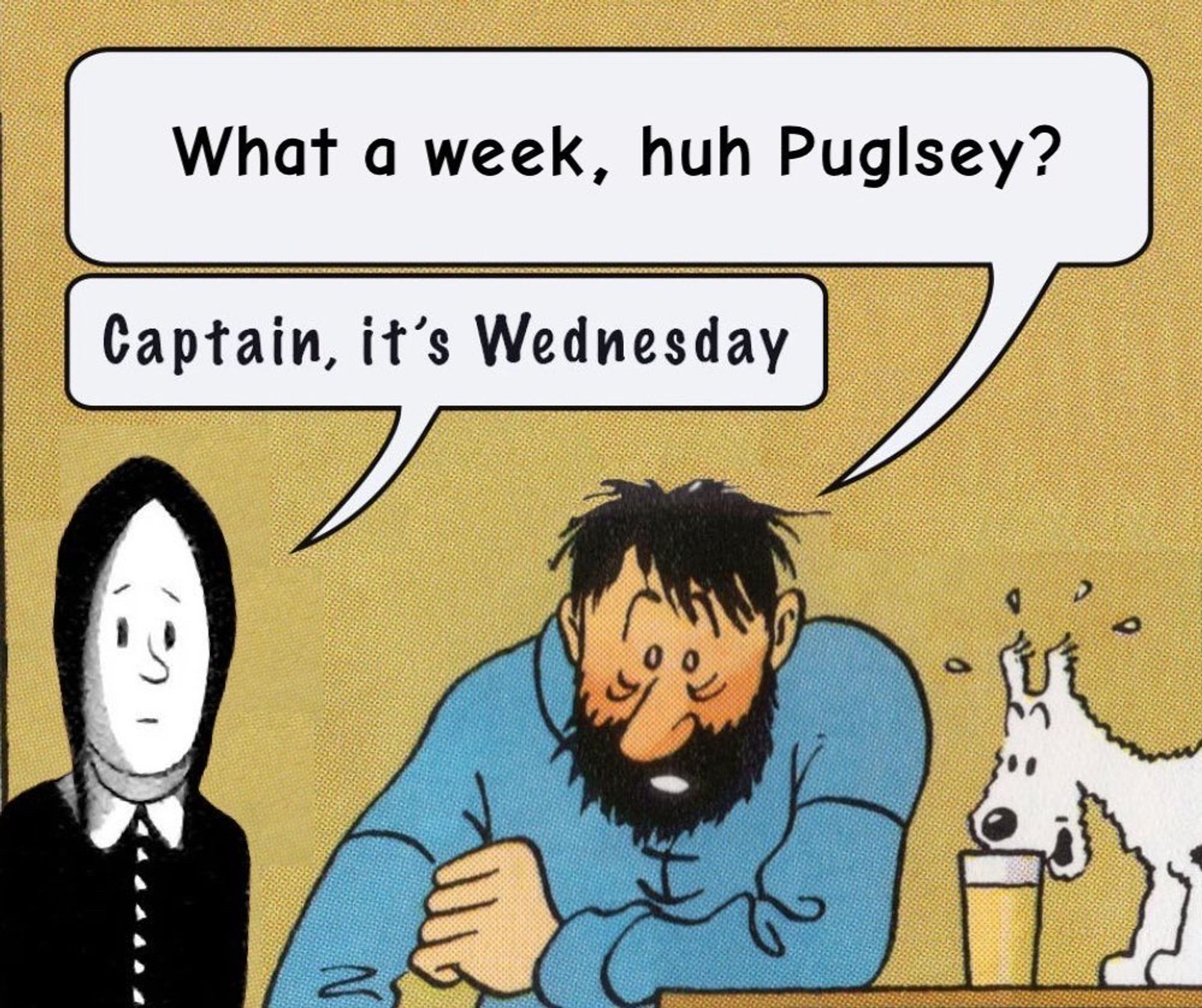 Cartoon panel of Captain Haddock from Tintin leaning on a table, Milou the dog excitedly sniffing his glass of booze.

Captain Haddock: "What a week, huh Puglsey?"
(yes, I'm afraid I know it's misspelled. Should be Pugsley)

Next to him Wednesday Addams from the Charles Addams Addams Family cartoons says: "Captain, it's Wednesday."