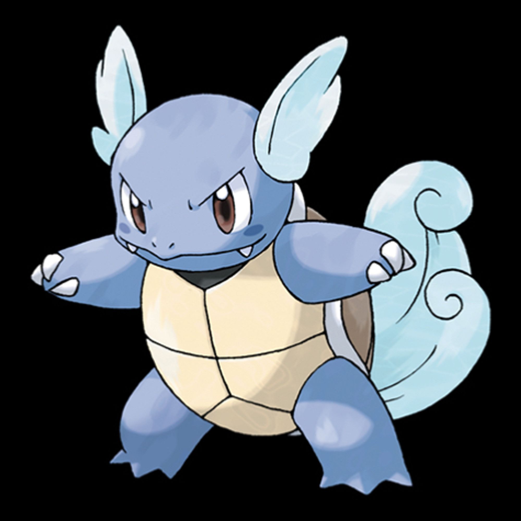 An official illustration of Wartortle.