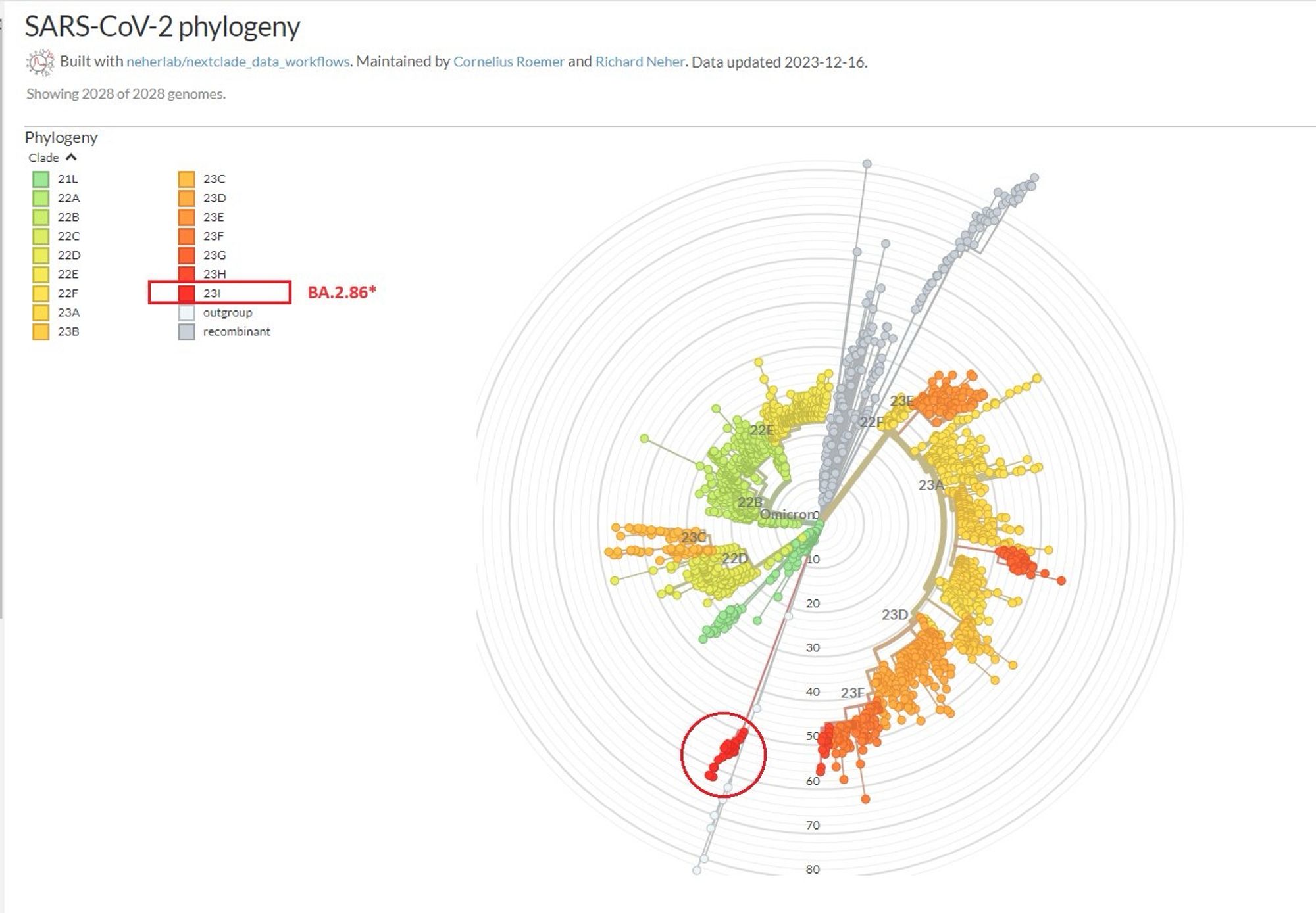 SARS-CoV-2 phylogeny
Omicron and its descendants