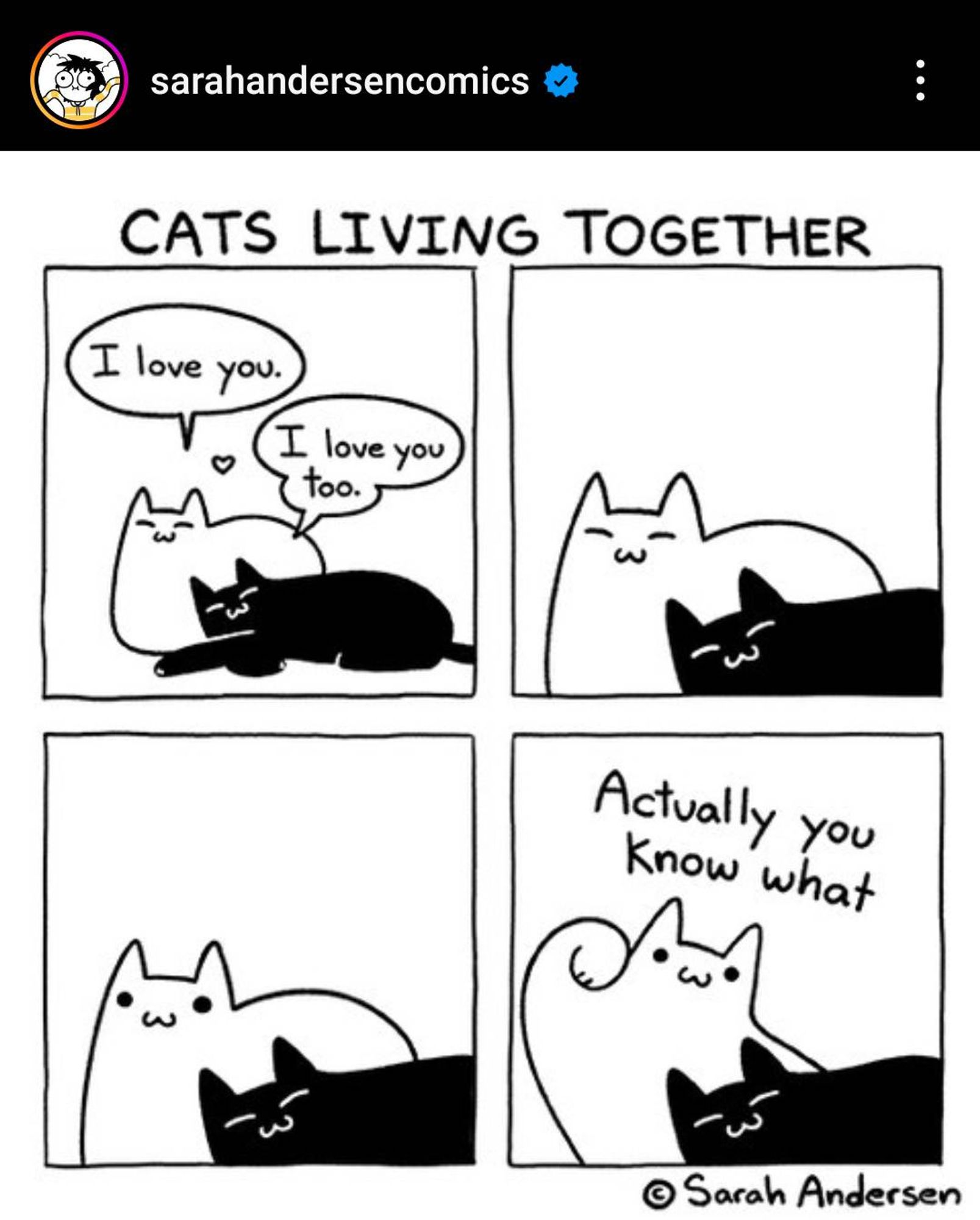 Title: CATS LIVING TOGETHER
First frame: two cats looking content and saying "I love you" to each other.
Next two frames: both cats looking sleepily content, then the one on the left opens its eyes.
Final frame: left cat says, "Actually, you know what," and raises its paw to smack the other.