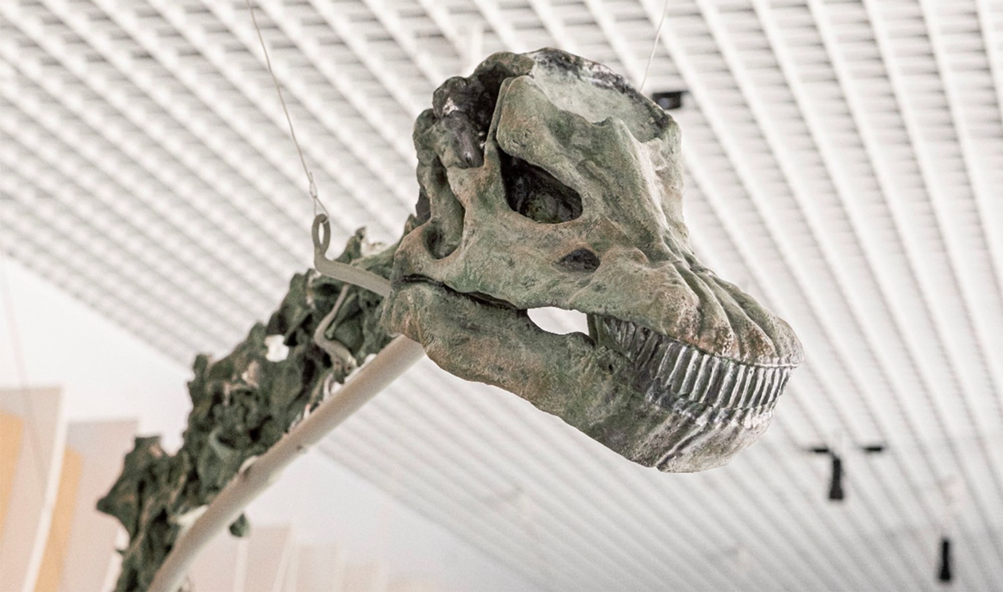 Close-up photo of "Gnatalie", the Natural History Museum of Los Angeles' green dinosaur.