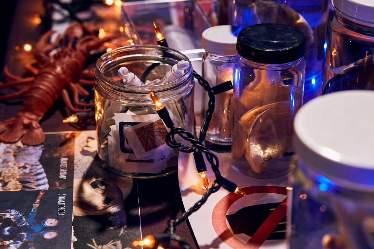 Close-up photo of specimens and Halloween goodies at NHMLA's Haunted Museum event.