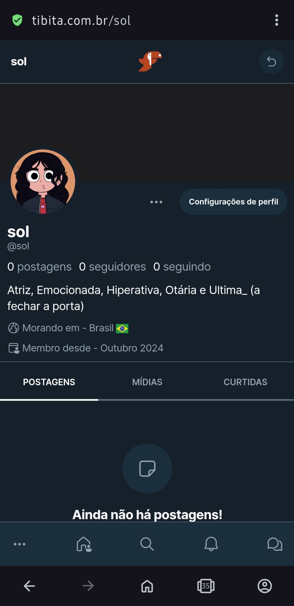 Print do meu perfil no Tibita.com, cujo arroba é somente "Sol"