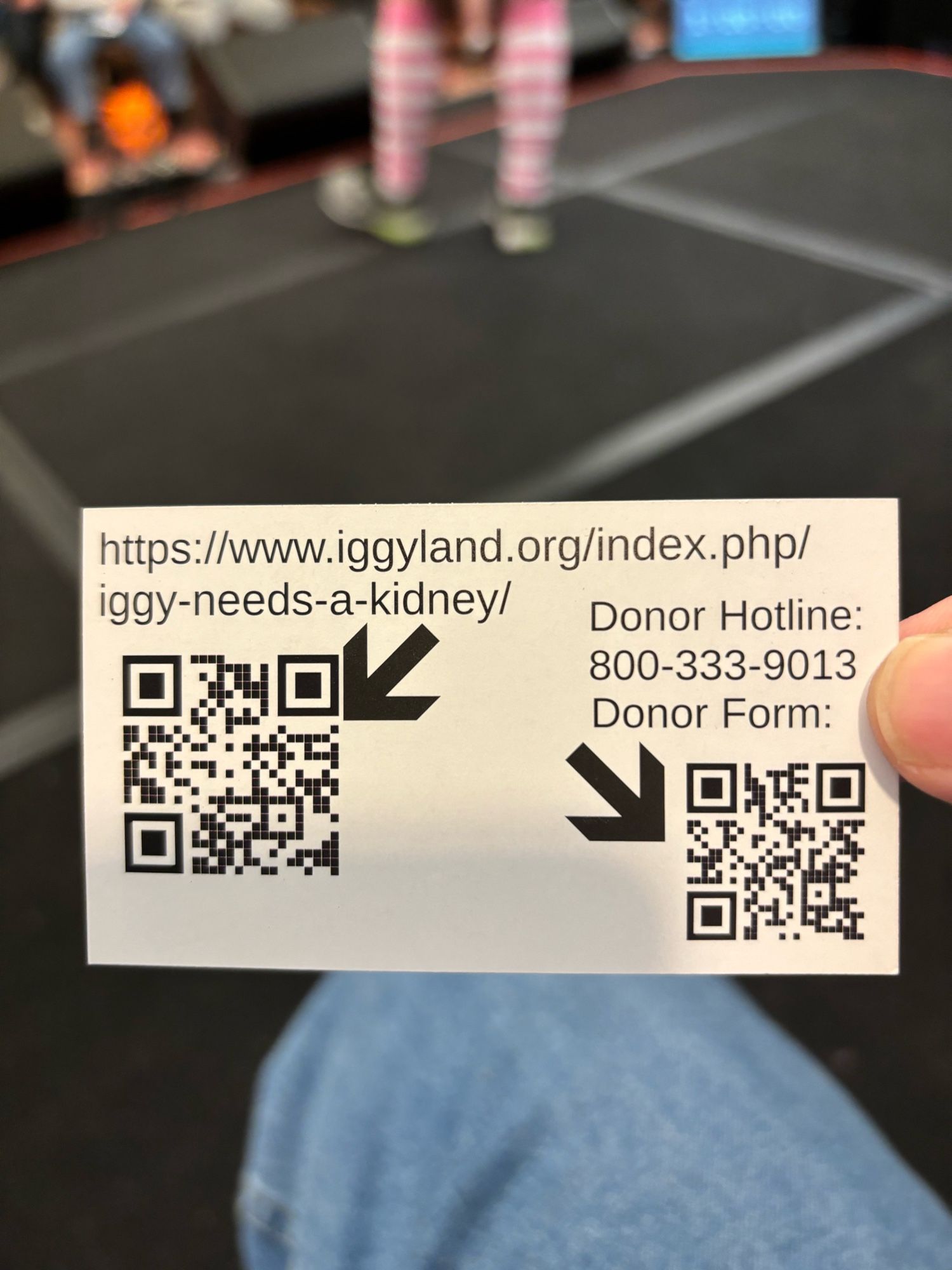 https://www.iggyland.org/index.php/iggy-needs-a-kidney

Picture with QR codes in addition to the link