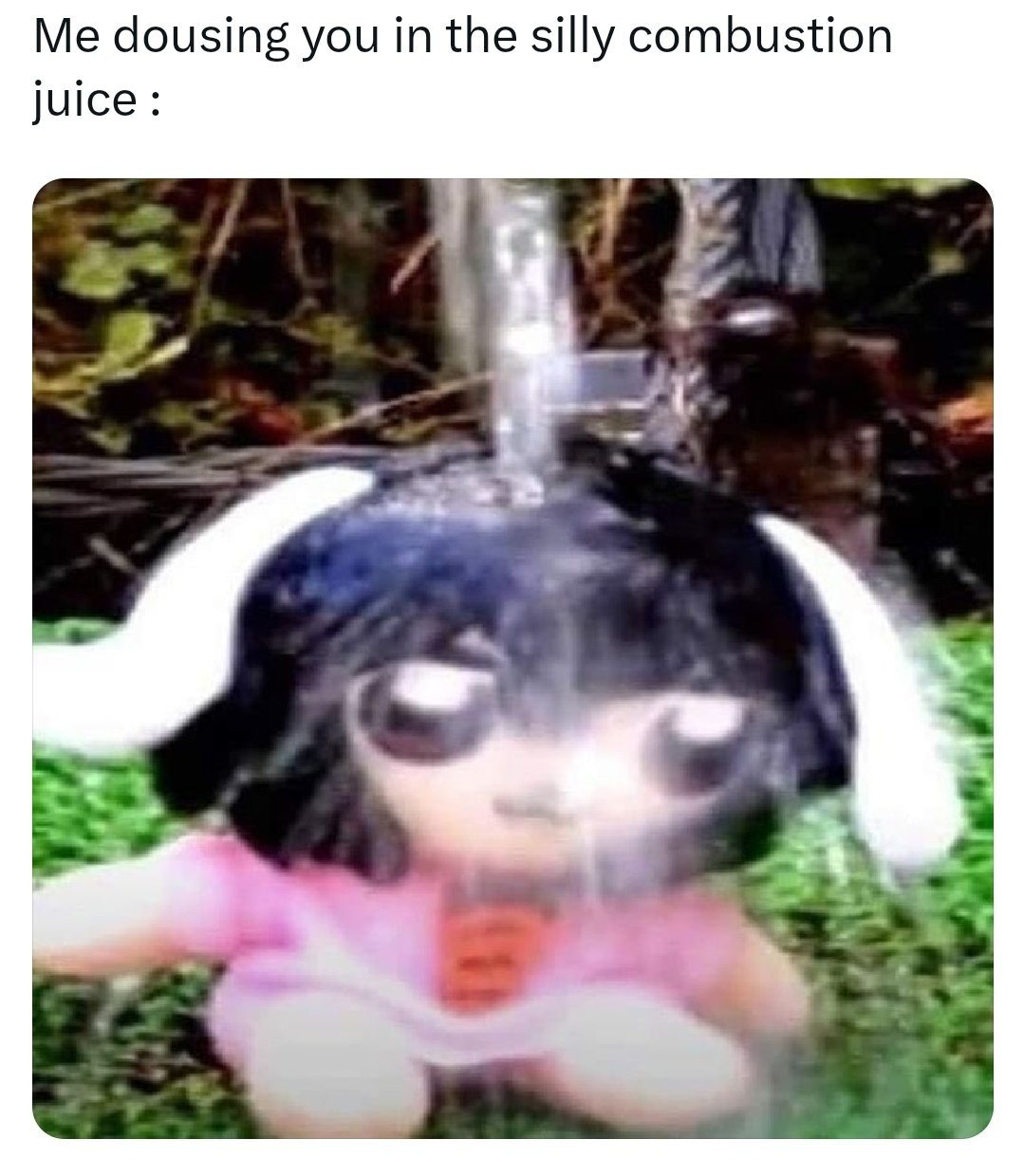 "Me dousing you in the silly combustion juice :" caption
With a picture of a bunny girl plushie with black hair being soaked by a liquid pouring onto it