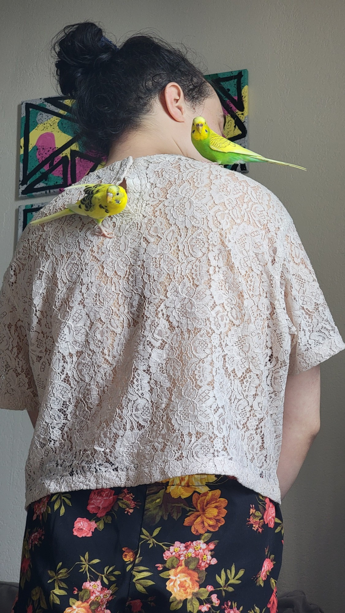 Two yellow and green parakeets, one perched on a shoulder and the other hanging off the back of the shirt 