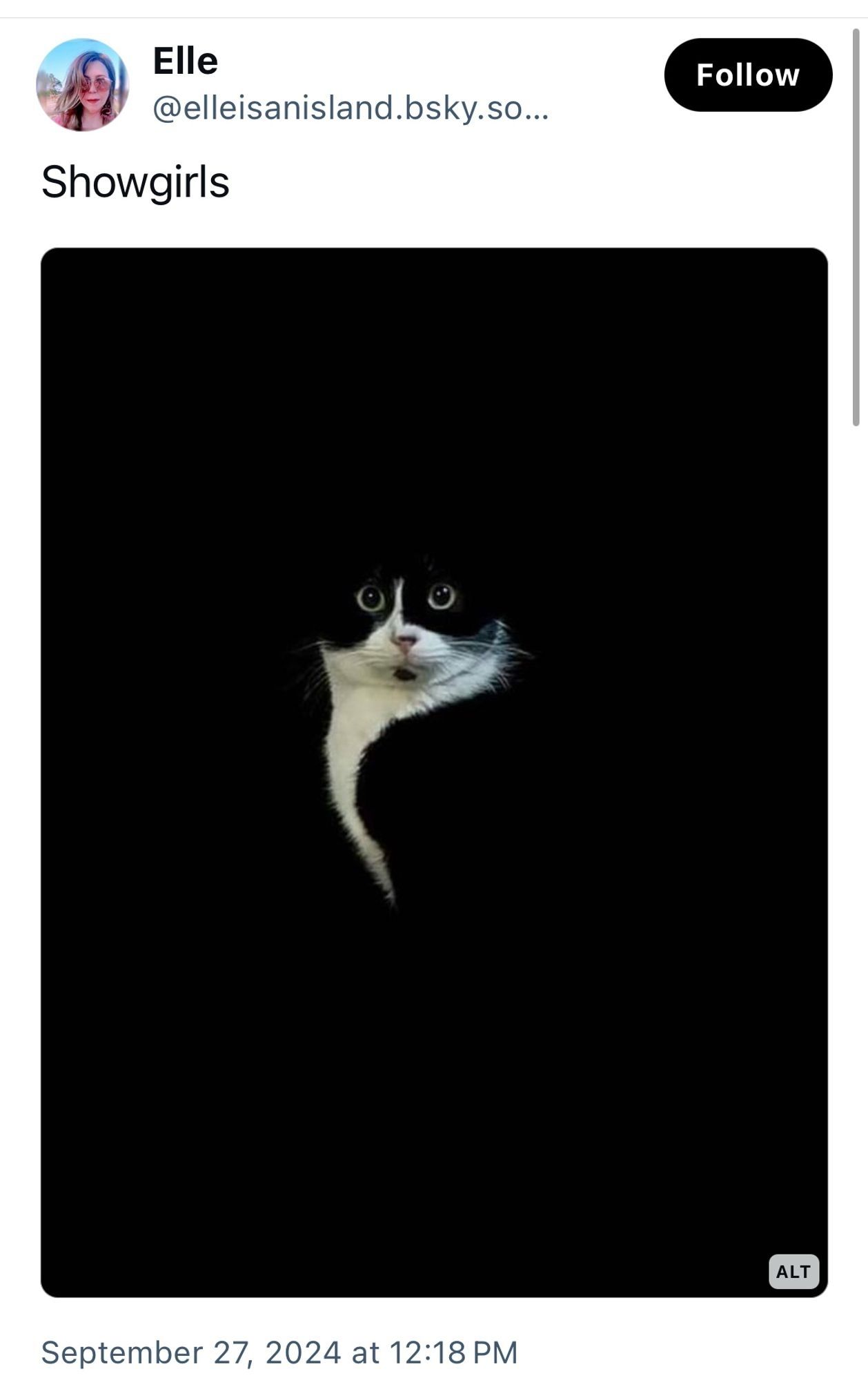 @elleisanisland.bsky.social posting "Showgirls" as a caption to the photo of a tuxedo cat on black background which she later admits she lifted from Reddit via Mastadon.

The same joke has been posted on almost every social media with no original credit