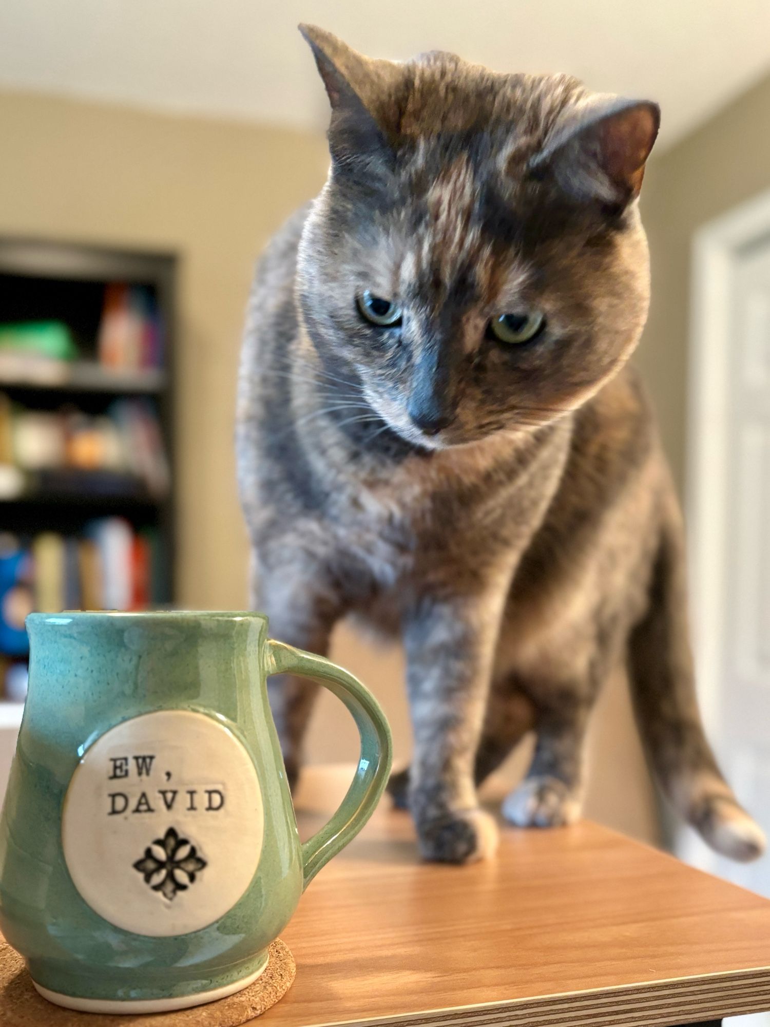 A dilute tortoiseshell cat is on a table, approaching a mug with evident curiosity. The mug is sage green and has the words “Ew, David” written on one side.