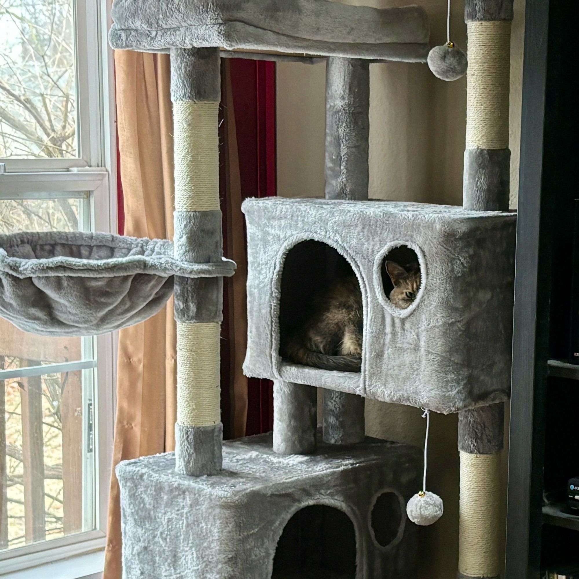 A dilute tortoiseshell cat is partially visible, sitting inside the “condo” area of a large gray cat tree. She is looking with one eye through a round hole.