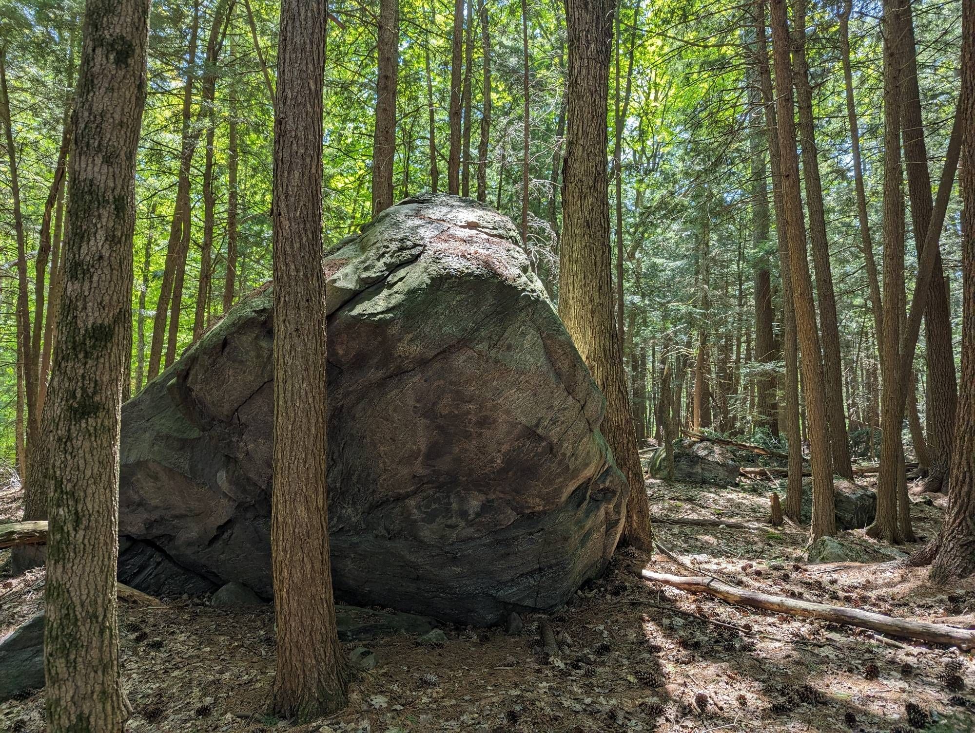 View of a conspicuous and giant boulder in the middle of the woods.