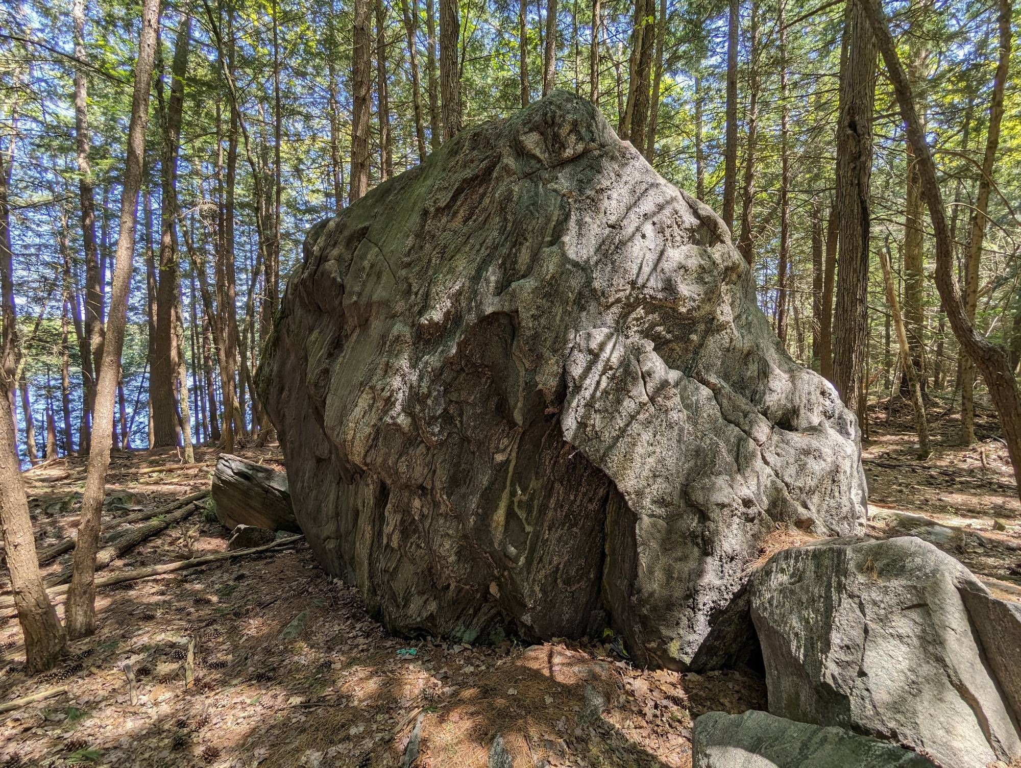 View of a conspicuous and giant boulder in the middle of the woods.