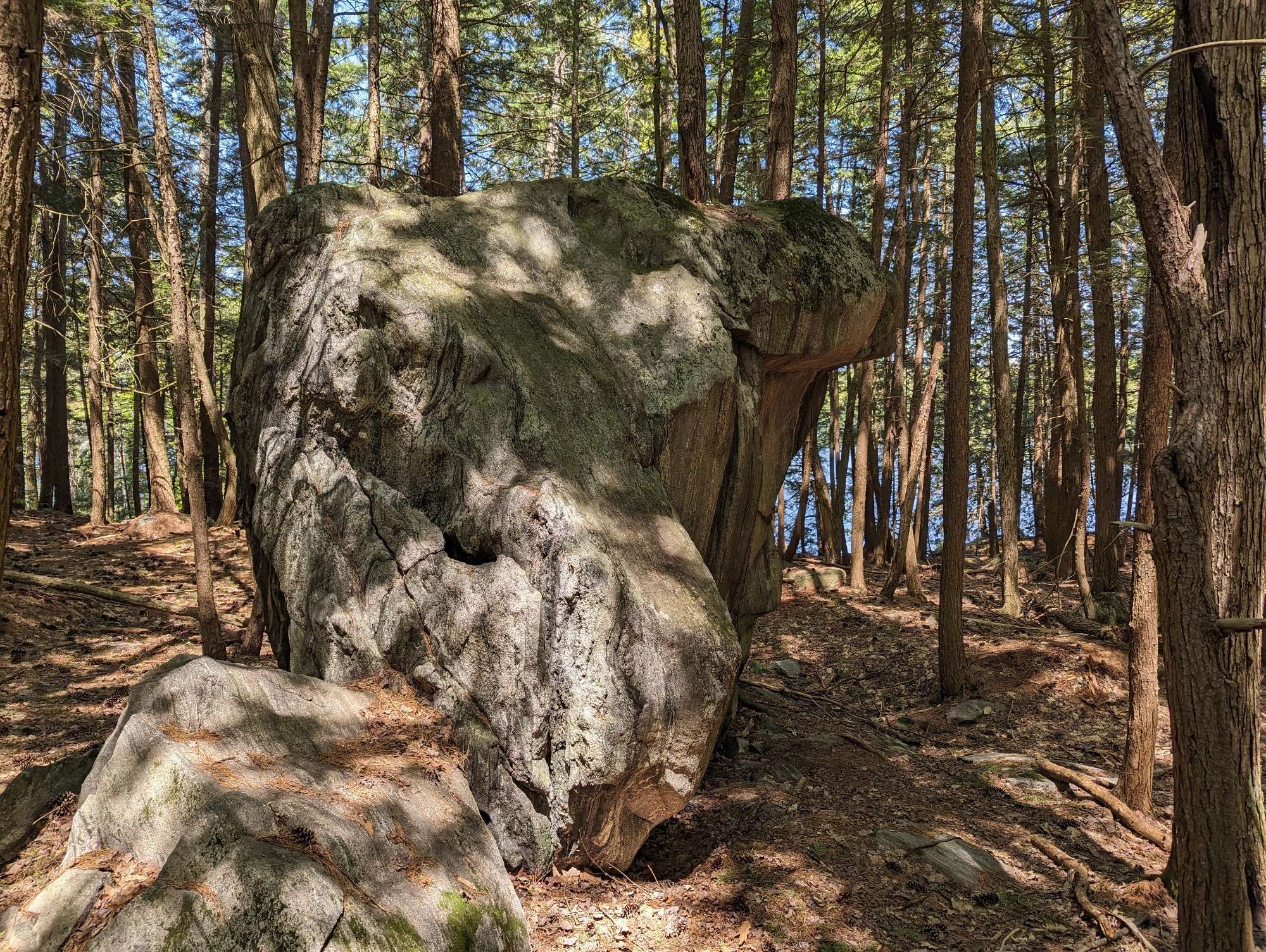 View of a conspicuous and giant boulder in the middle of the woods.