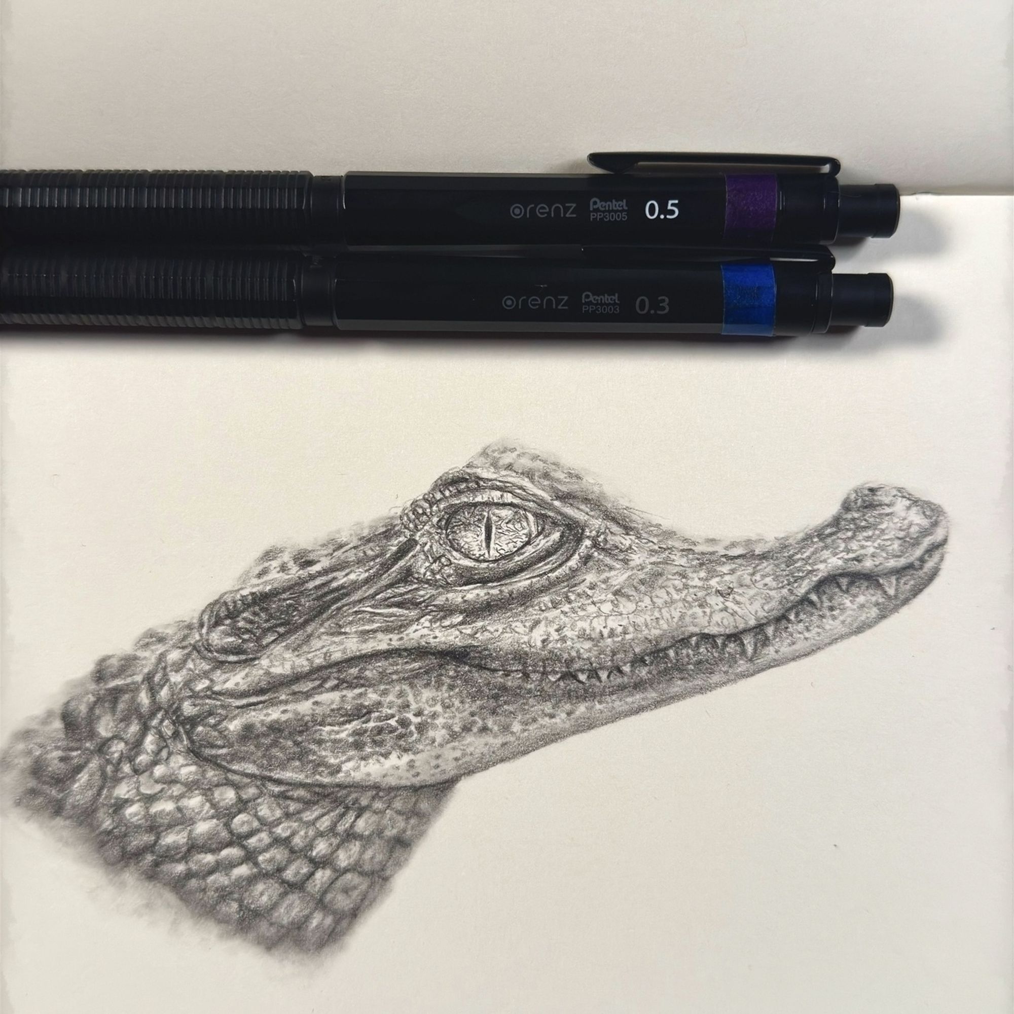 A detailed graphite sketch of an American alligator's head, showcasing intricate textures of the skin and scales. Two Pentel Orenz Nero pencils (.3 and .5 mm) are placed above the drawing. The shading softens along the neck, blending into the paper.