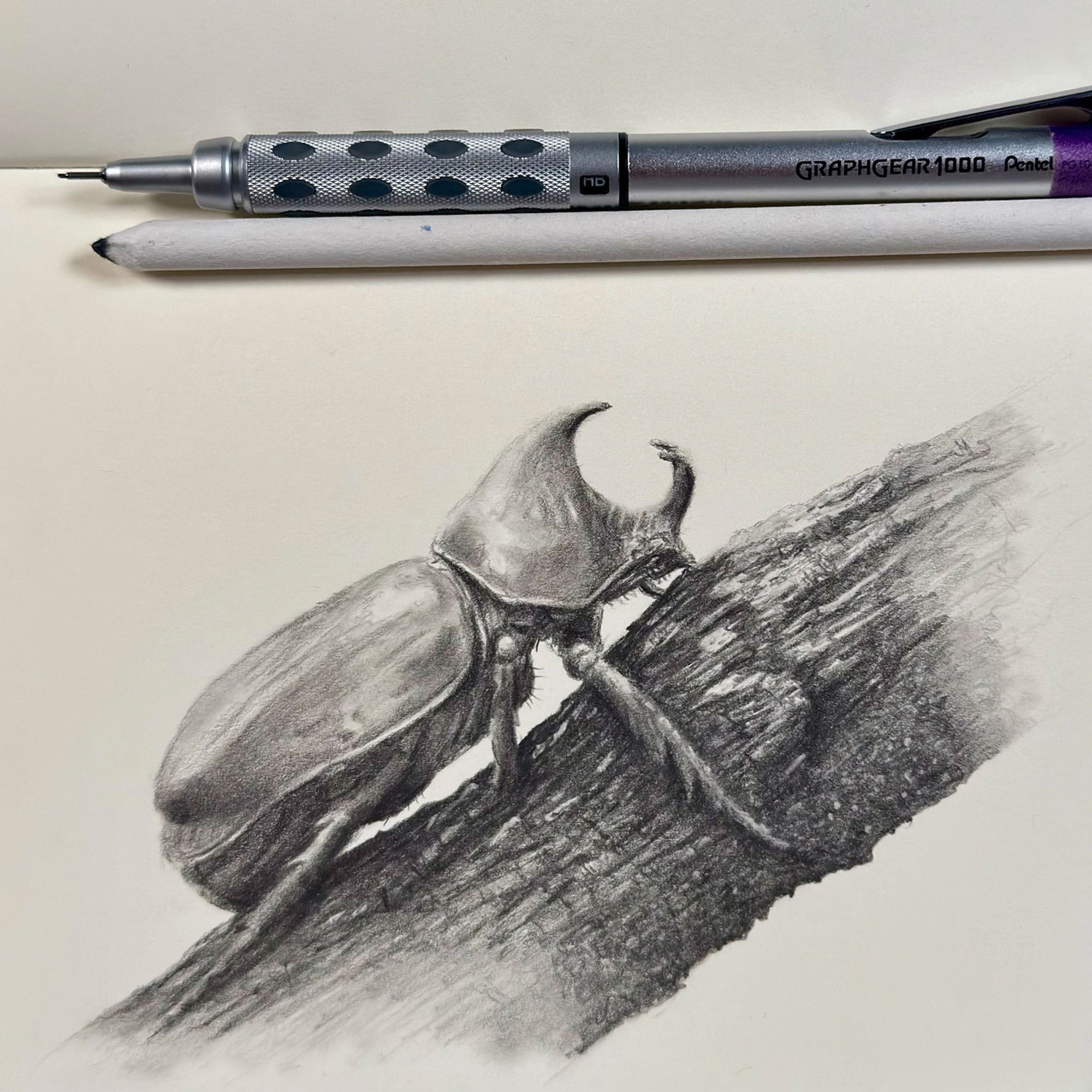 A realistic pencil drawing of a rhinoceros beetle on a textured branch, showcasing intricate details and shading. A Pentel Graphgear 1000 mechanical pencil and a clutch pencil are placed above the drawing.