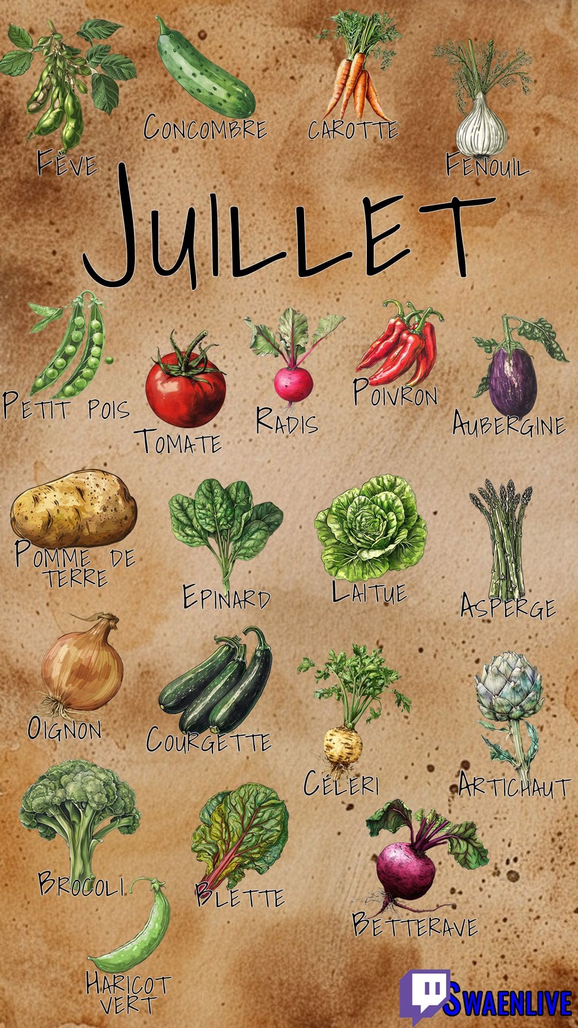 Légumes de saison pour le mois de juillet :
- fèves 
- concombres
- carottes
- fenouil
- petits pois
- tomates
- radis
- laitues
- asperges
- pommes de terre
- courgettes
- céleris
- artichauts 
- poivrons
- aubergines
- oignons
- brocolis 
- blettes
- betteraves
- haricots