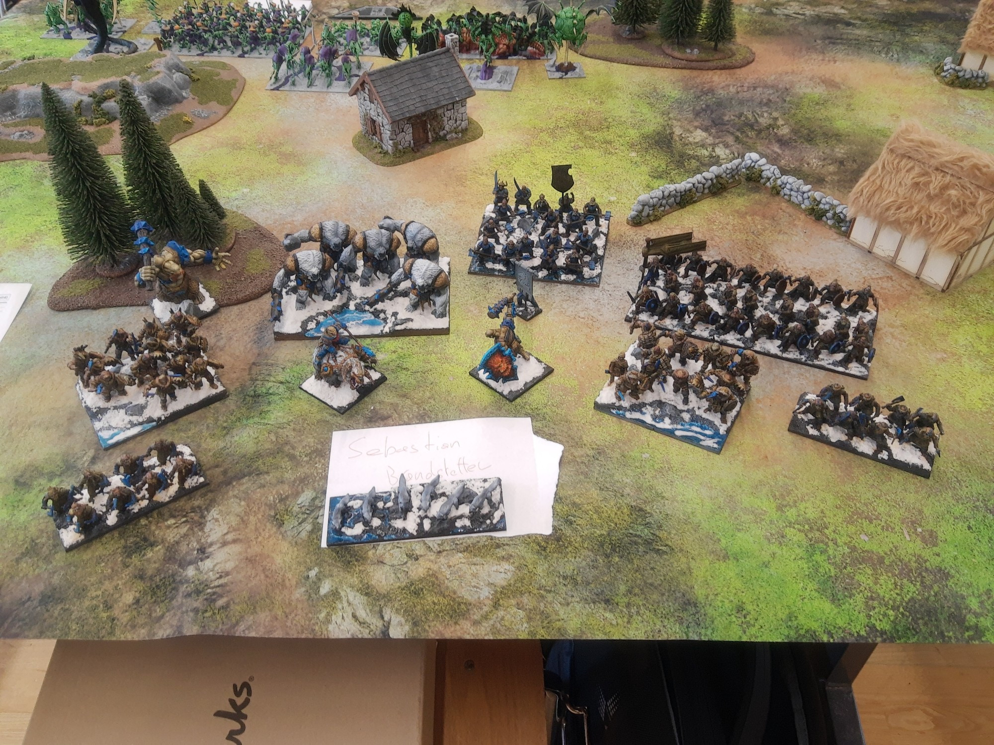 Northern Alliance army for Kings of War (mix of Humans, Dwarfs, Elves and Trolls) with glacier themed bases using models from Mantic Games