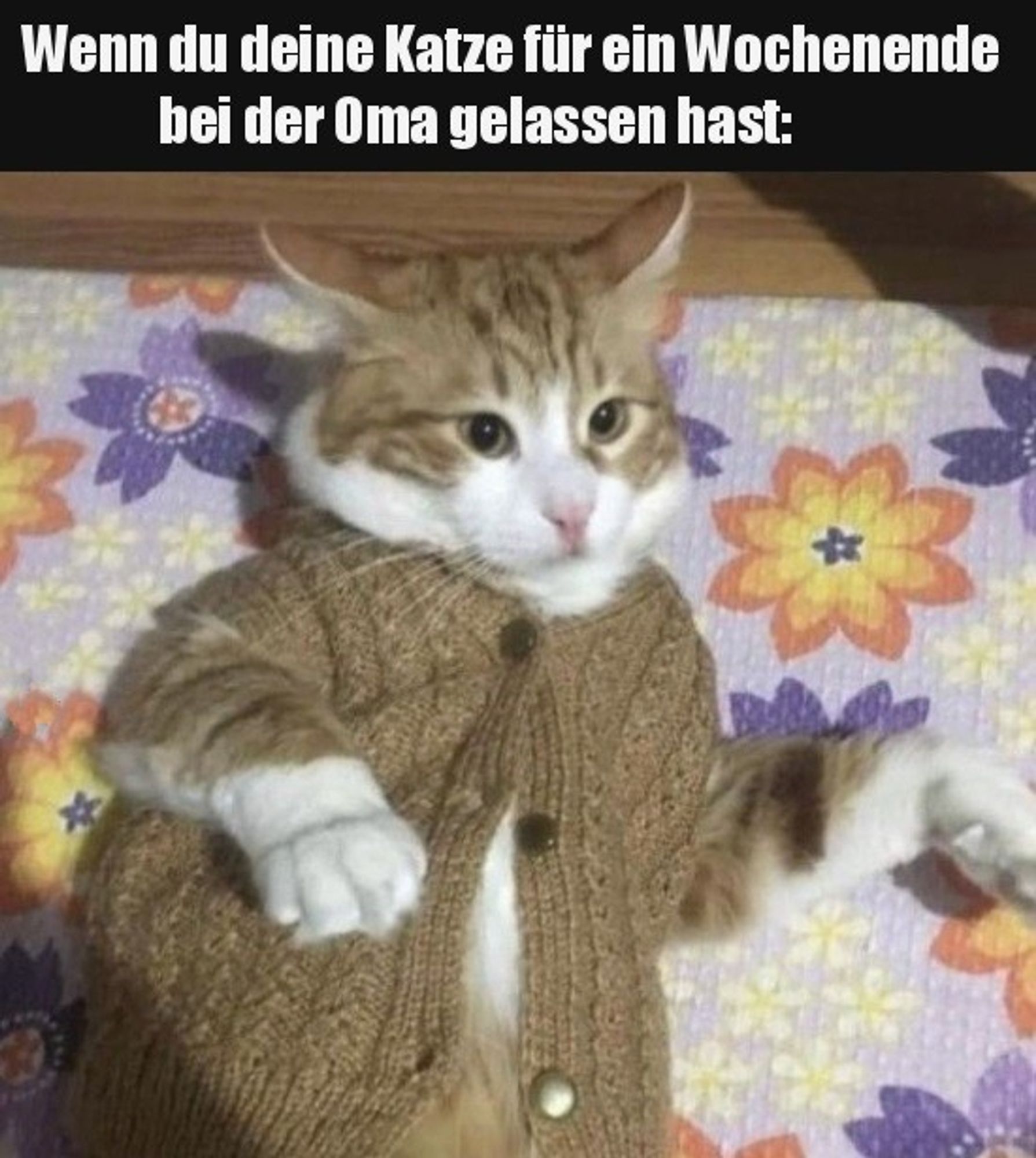 Das Bild zeigt eine Katze in einem gestrickten Pullover, die auf einer Oberfläche mit einem blumigen Muster liegt. Die Katze hat weißes Fell mit braunen Streifen und Flecken, ihre Augen sind weit geöffnet und sie schaut direkt in die Kamera. Der Pullover scheint zu groß zu sein, mit unverschlossenen Knöpfen vorne. Das blumige Muster besteht aus orangefarbenen und lila Blumen mit grünen Blättern. Über der Katze steht auf Deutsch: “Wenn du deine Katze ein Wochenende lang bei Oma lässt.” Dies verleiht dem Bild einen humorvollen Kontext, da es die Vorstellung erweckt, dass die Großmutter der Katze den Pullover gestrickt haben könnte.