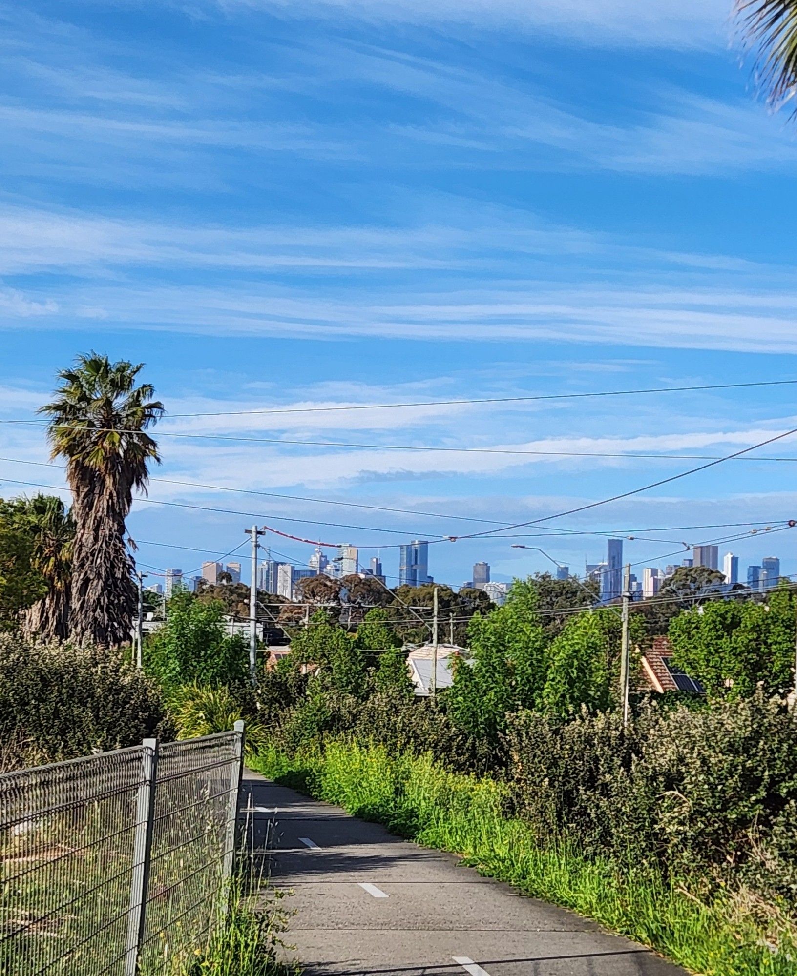 An urban bike path, with low bush plantations on either side. A CBD skyline of tall buildings can be seen in the distance.