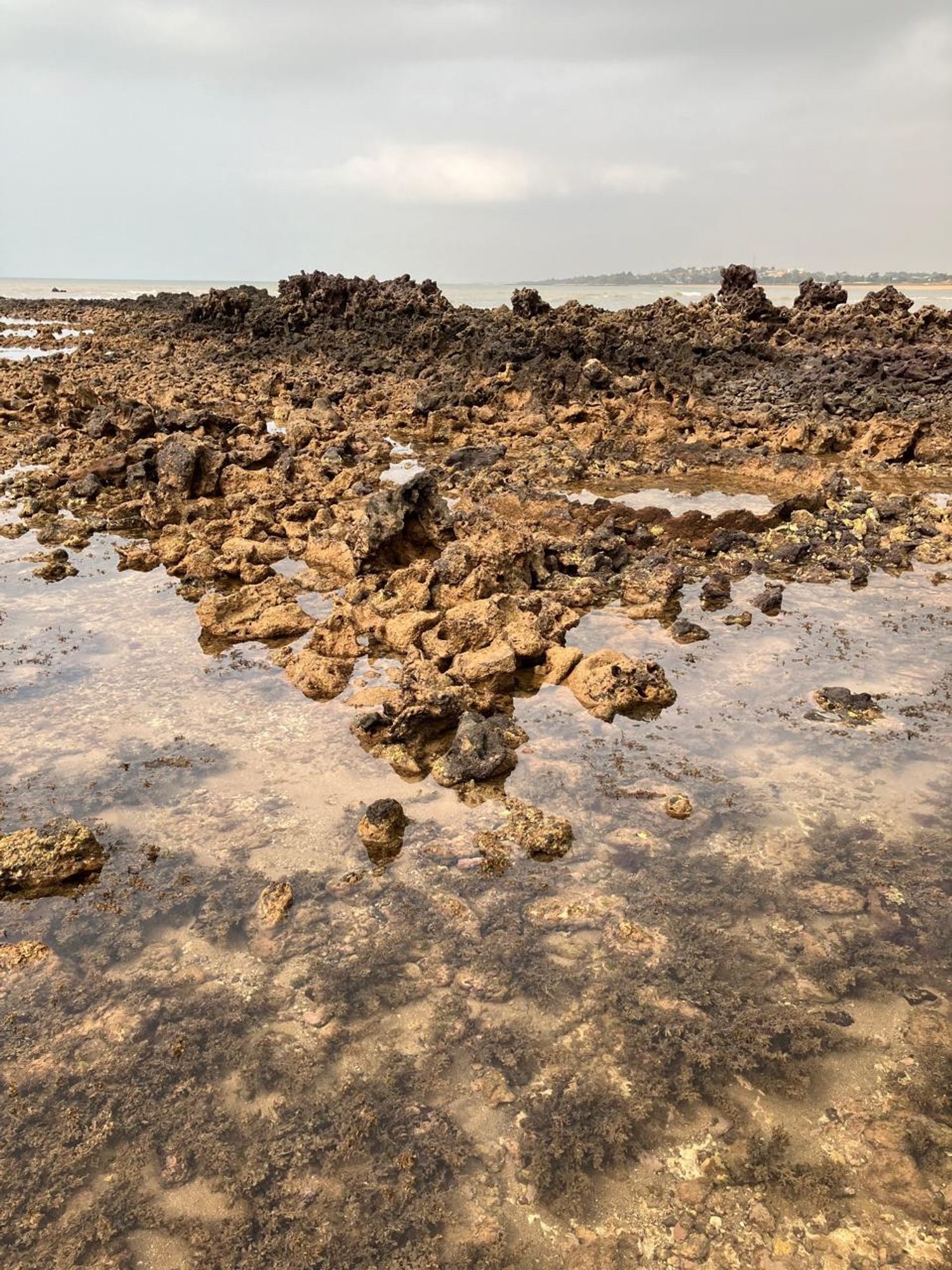 a tropical intertidal seascape in Espírito Santo state coast, Brazil