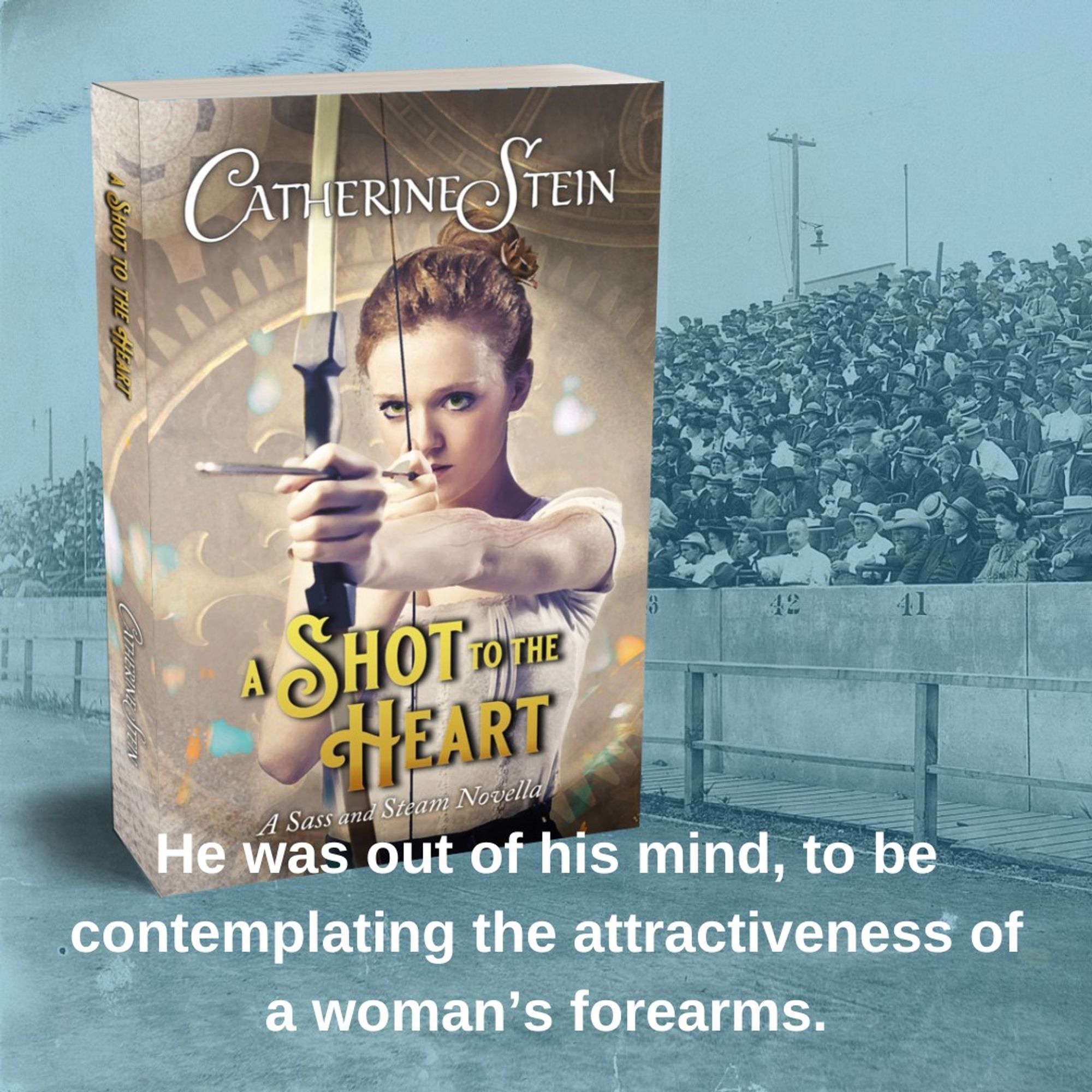 A Shot to the Heart cover atop a photo of the 1904 Olympic stadium bleachers and the quote: He was out of his mind, to be contemplating the attractiveness of a woman's forearms.