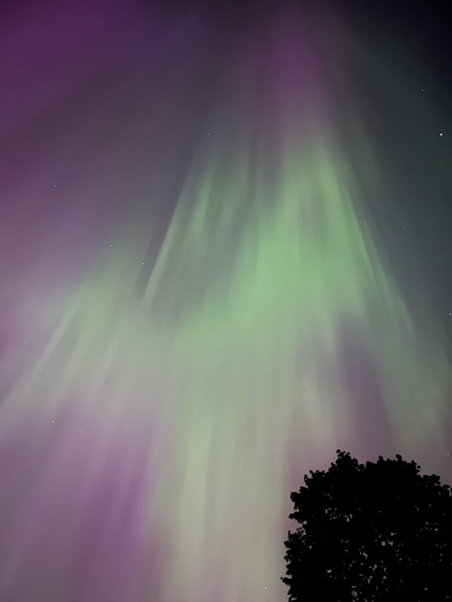 Green Northern Lights in SW Michigan