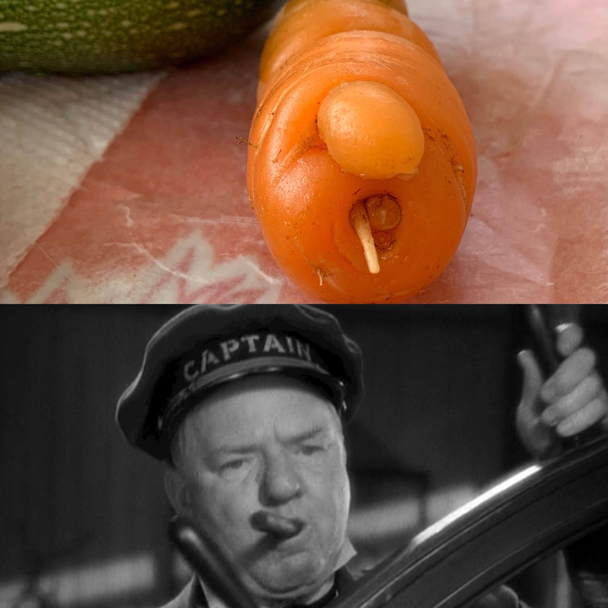 Top photo: taken from the view of the bottom end of the carrot. Looks like it has a big, round nose and a cigar (root) in its mouth. 
Bottom photo: WC Fields as a boat captain, cigar in his mouth.