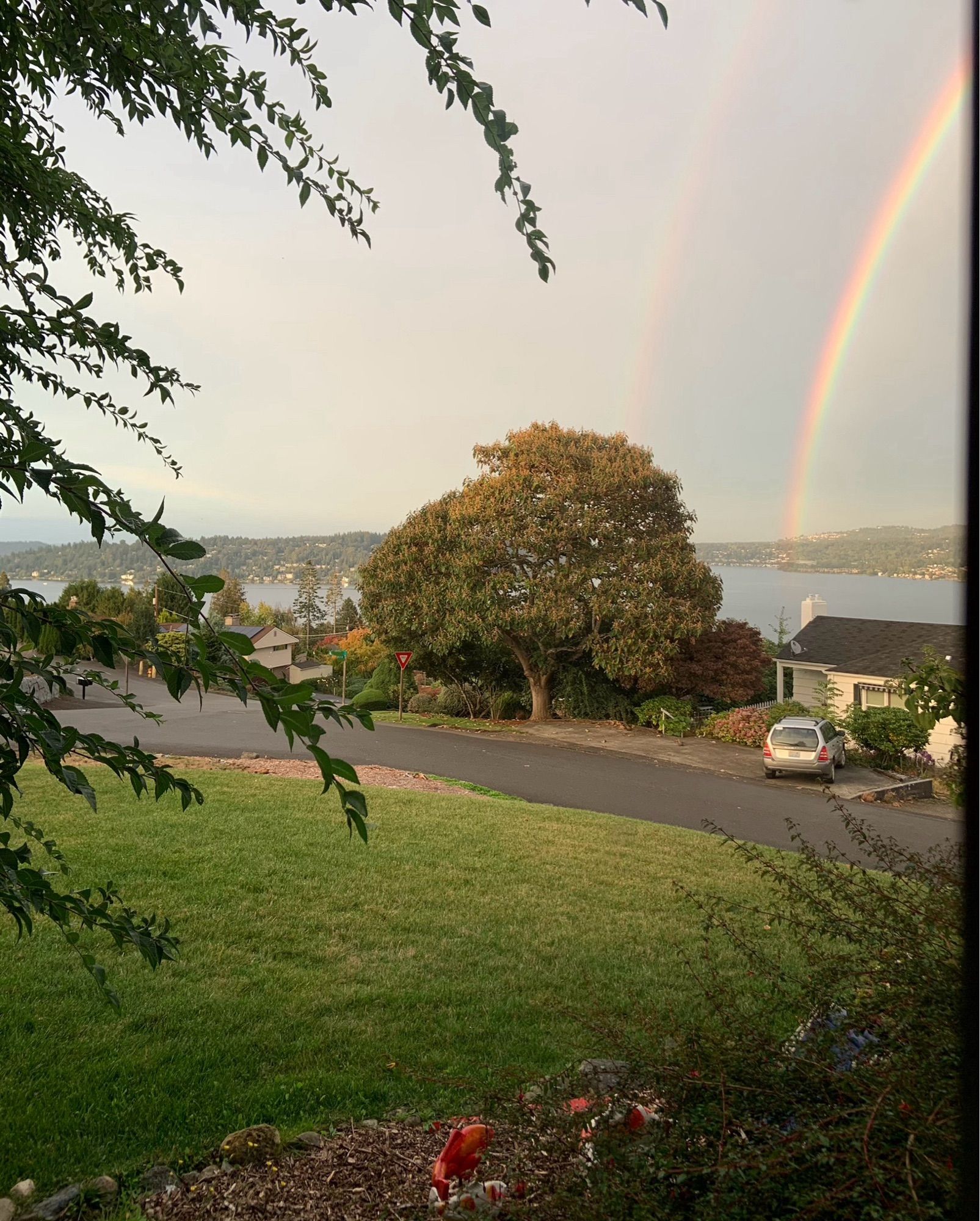 The spider’s view is of a green yard, trees, and the lake in the distance, as well as the northern end of the double rainbow.