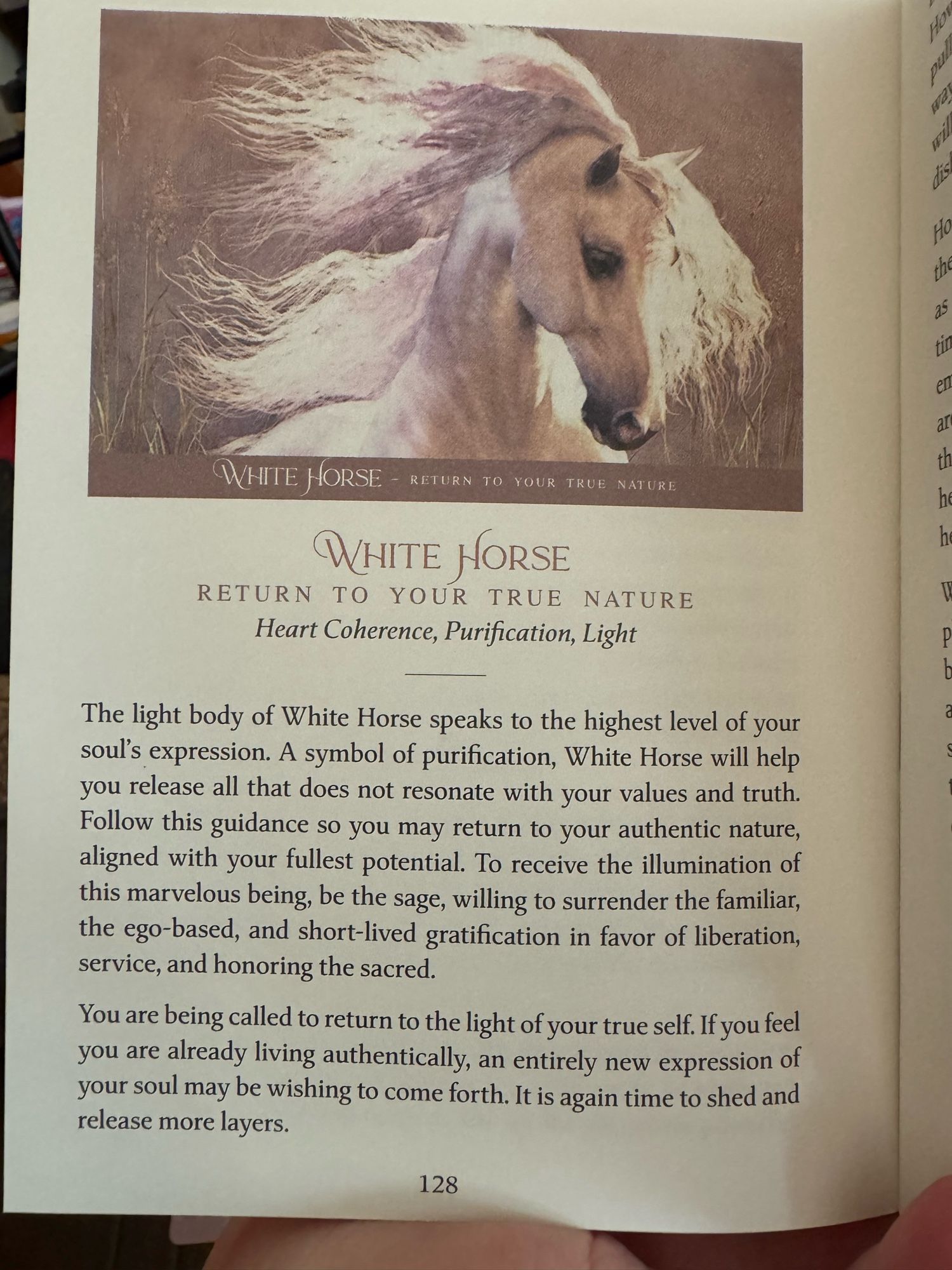 Photo of the meaning book for the white horse card. There’s a picture of the card with an explanation.