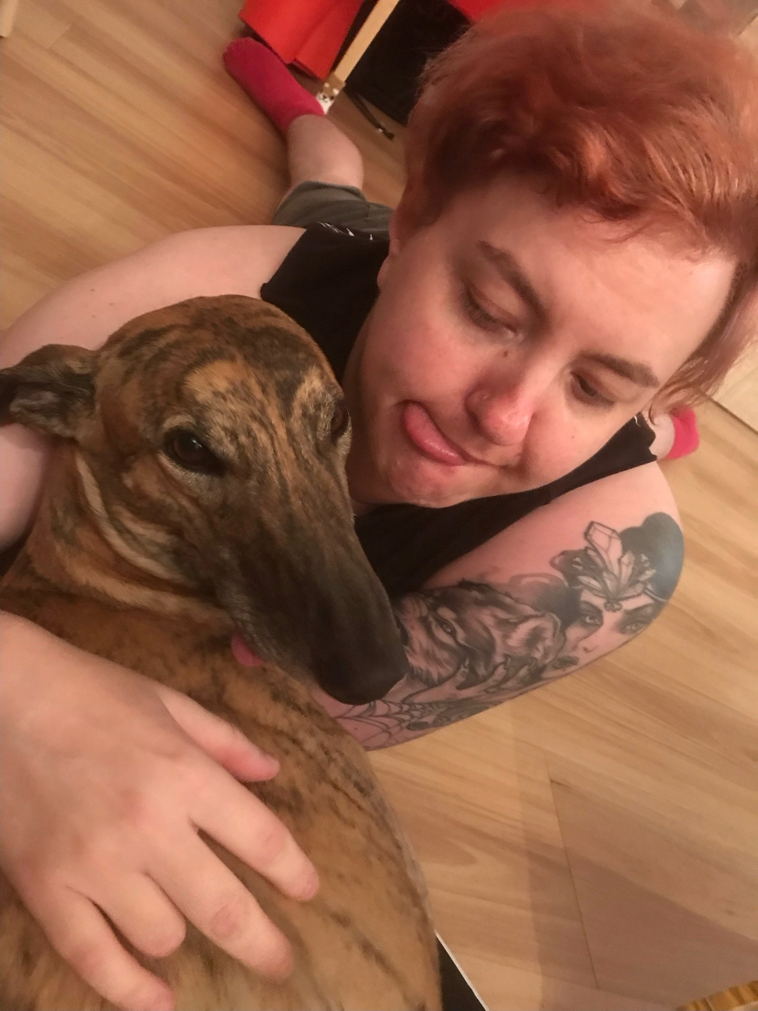 photo of beau with gadget greyhound lying on the floor with her tongue sticking out one side of her mouth