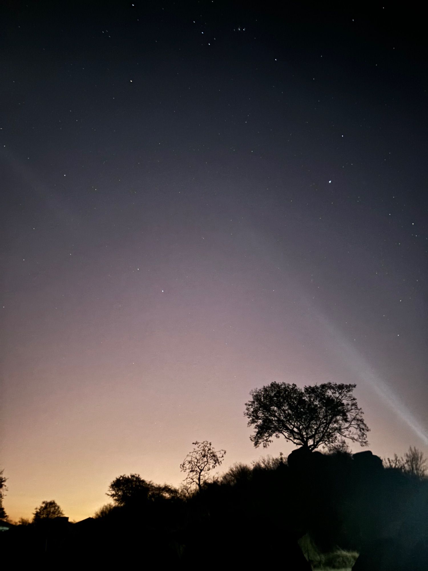 Purple sky from immediately before sunrise at the Seroneta campsite in Serengeti national park, Tanzania 