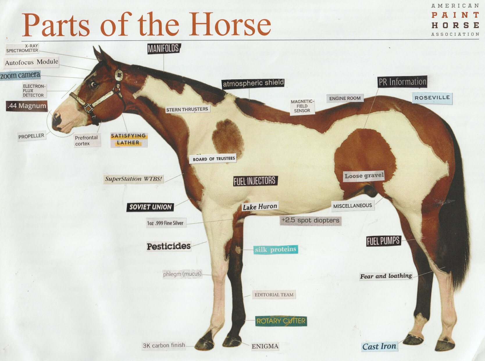 a picture of a horse with nonsensical labels on it