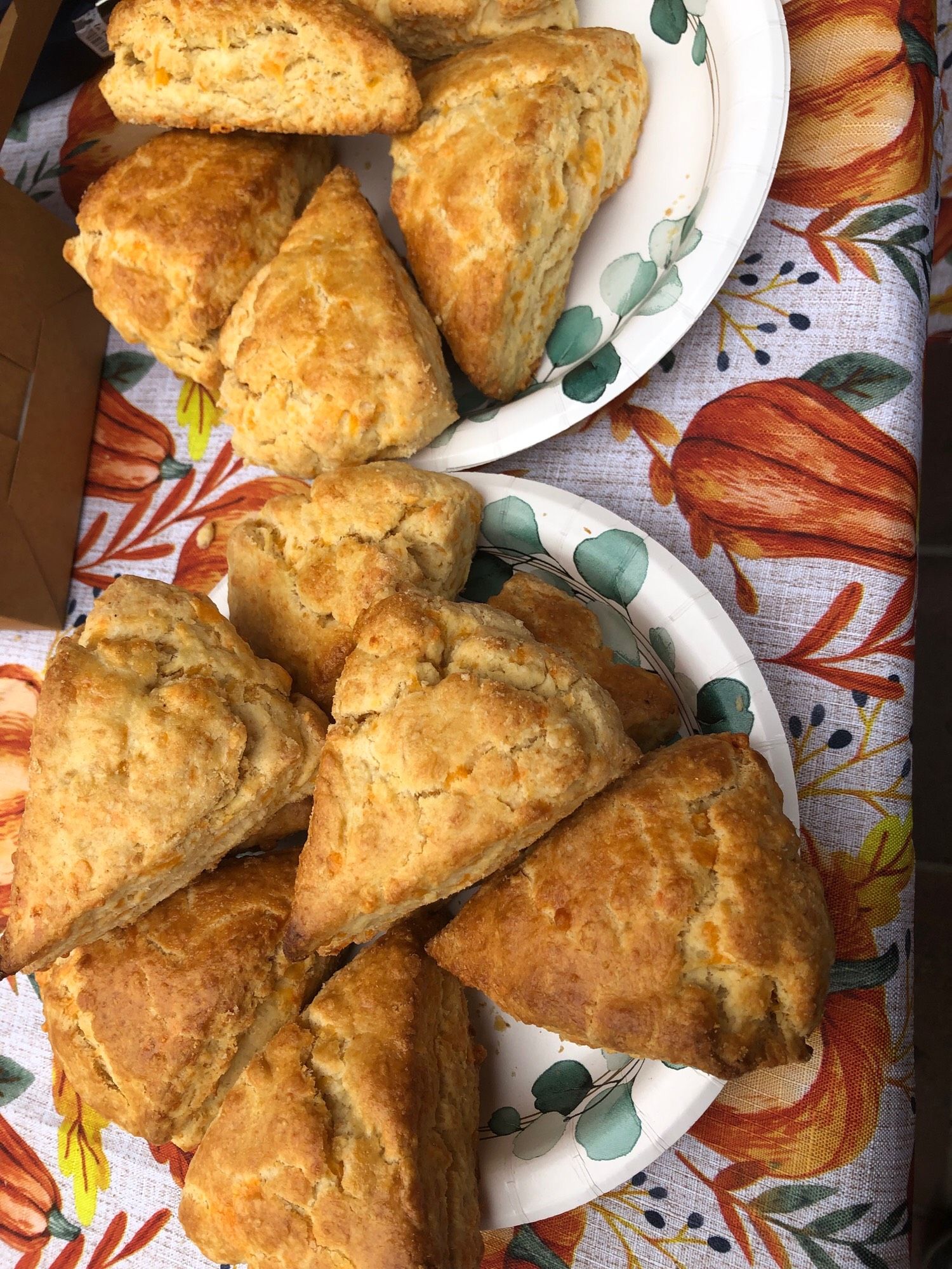 A couple paper plates with about a dozen very golden and tasty looking cheddar scones on them on a brightly-tableclothed table.