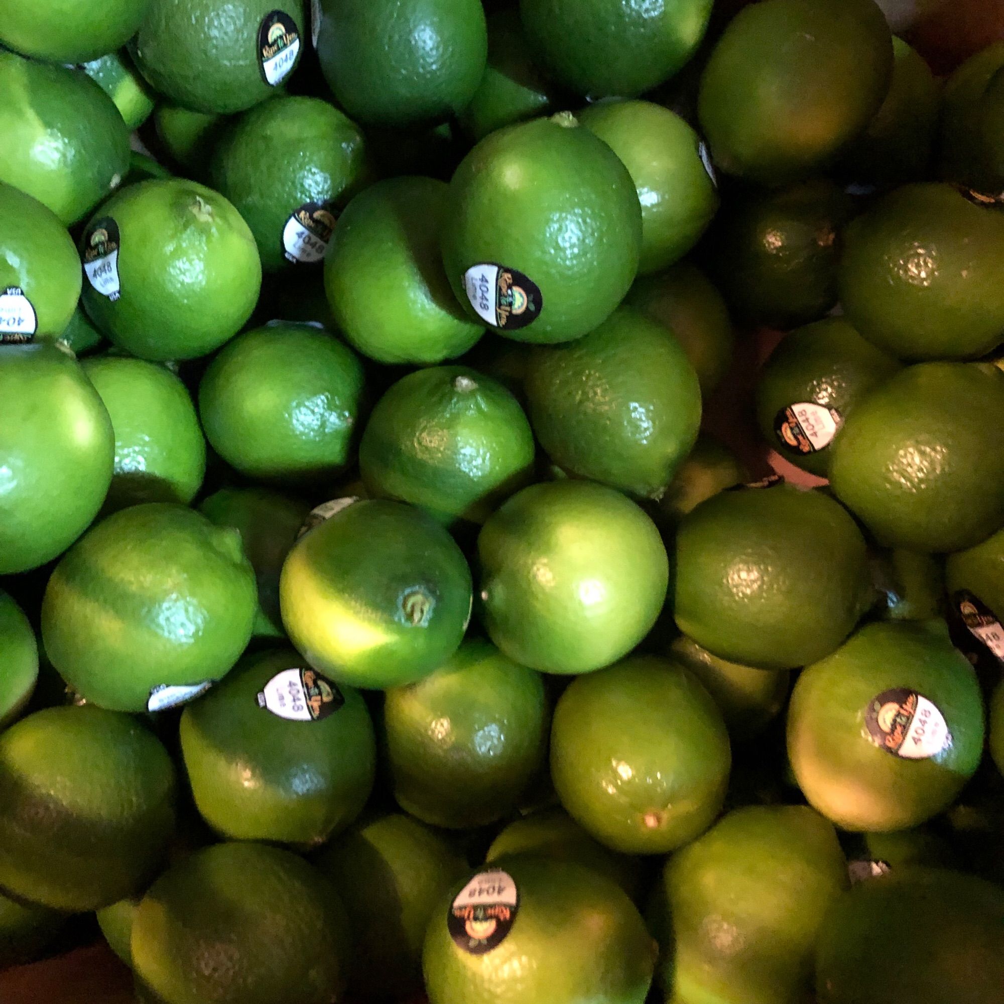 A whole case of limes, each with an individual fruit sticker needlessly affixed to it, creating excessive garbage in the world and an annoying task for the bartender (me) who has to remove them all. Why do the fruit gods hate me?