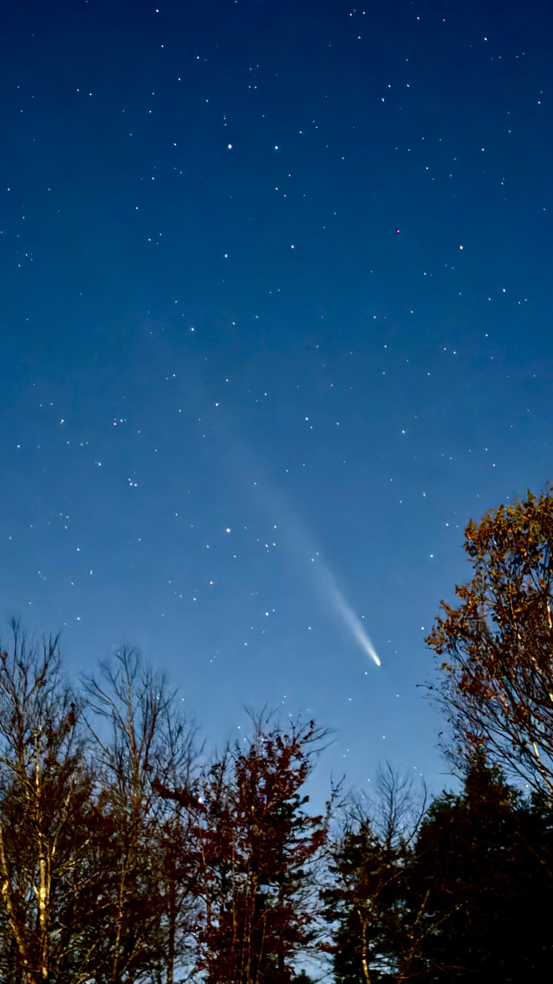 A comet in the night sky with a long tail stretching diagonally across much of the photo