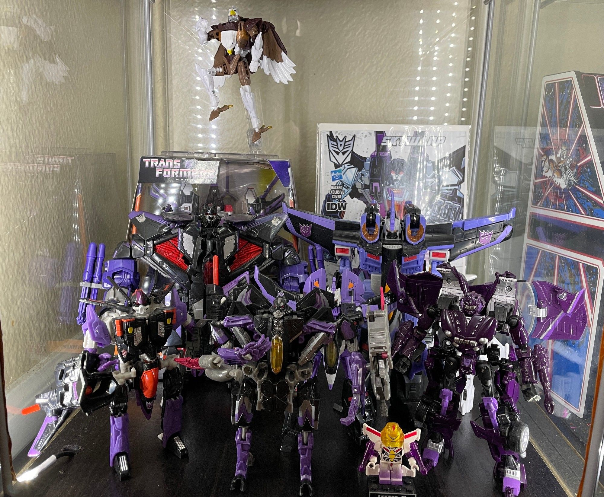 A display shelf filled with Skywarp toys. Among them are versions from the Michael Bay movies, Machine Wars, the Unicron Trilogy, and Alternity.