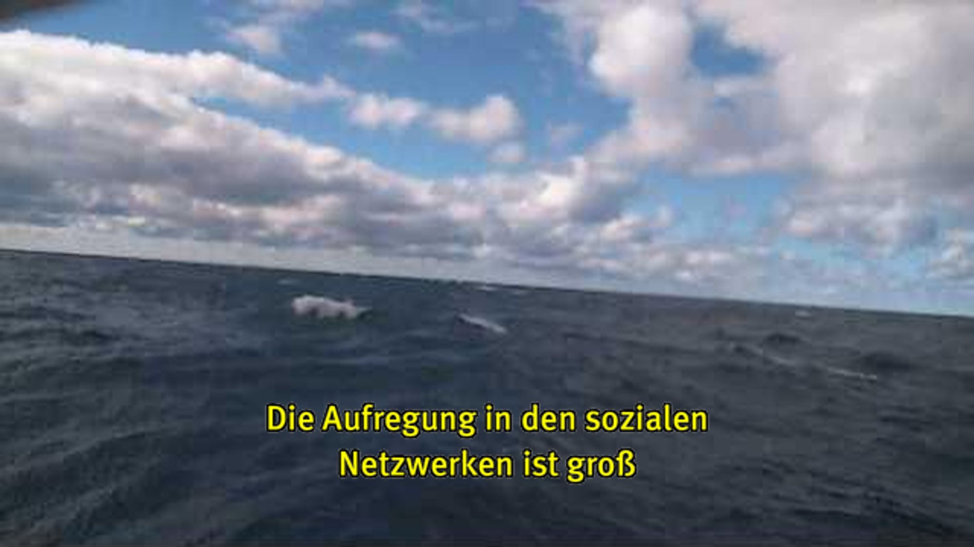 Webcam-Foto vom Meer, untertitelt mit gelber Schrift: "Die Aufregung in den sozialen Netzwerken ist groß"