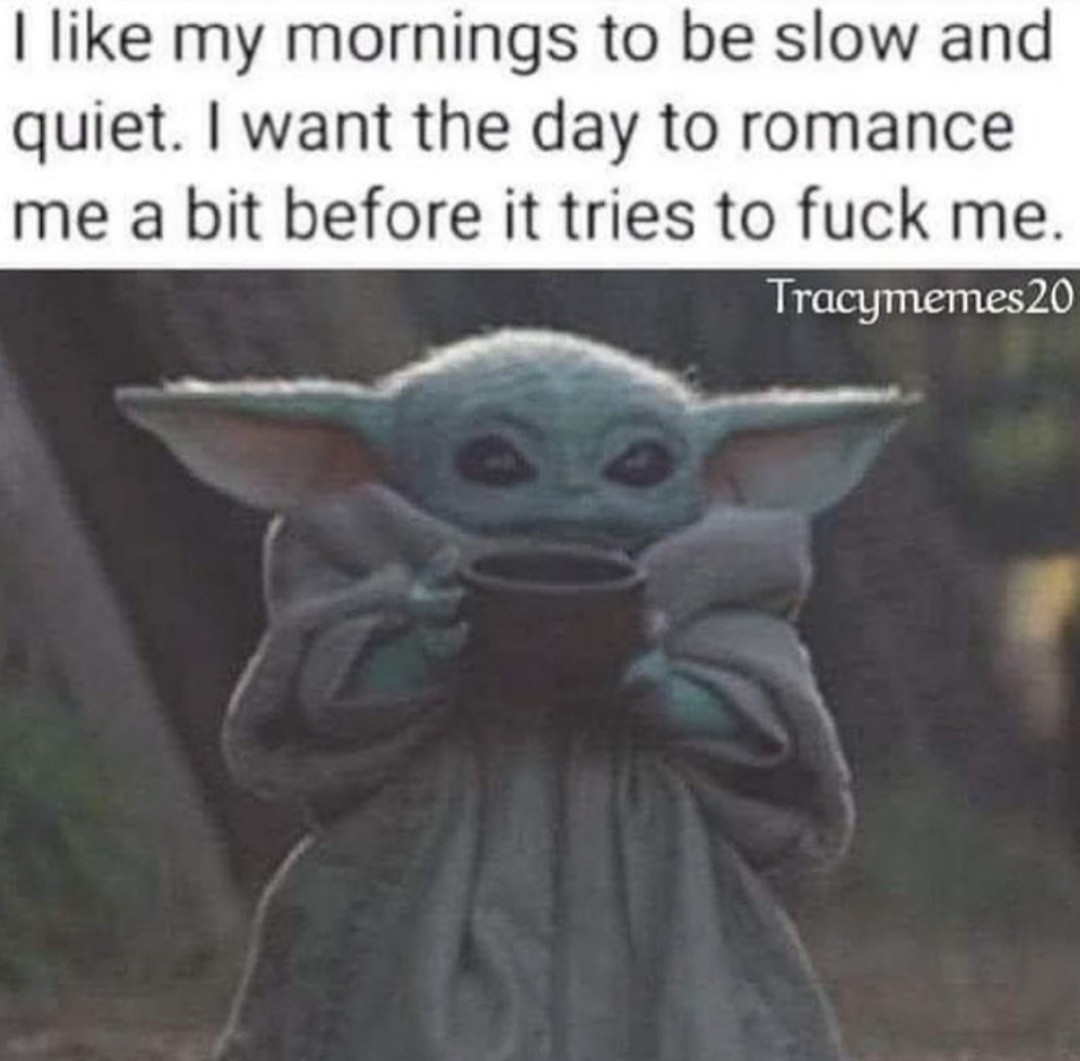 A meme of Baby Yoda or 'Grogu' holding a mug. Text reads: I like my mornings to be slow and quiet. I want the day to romance me a bit before it tries to fuck me.