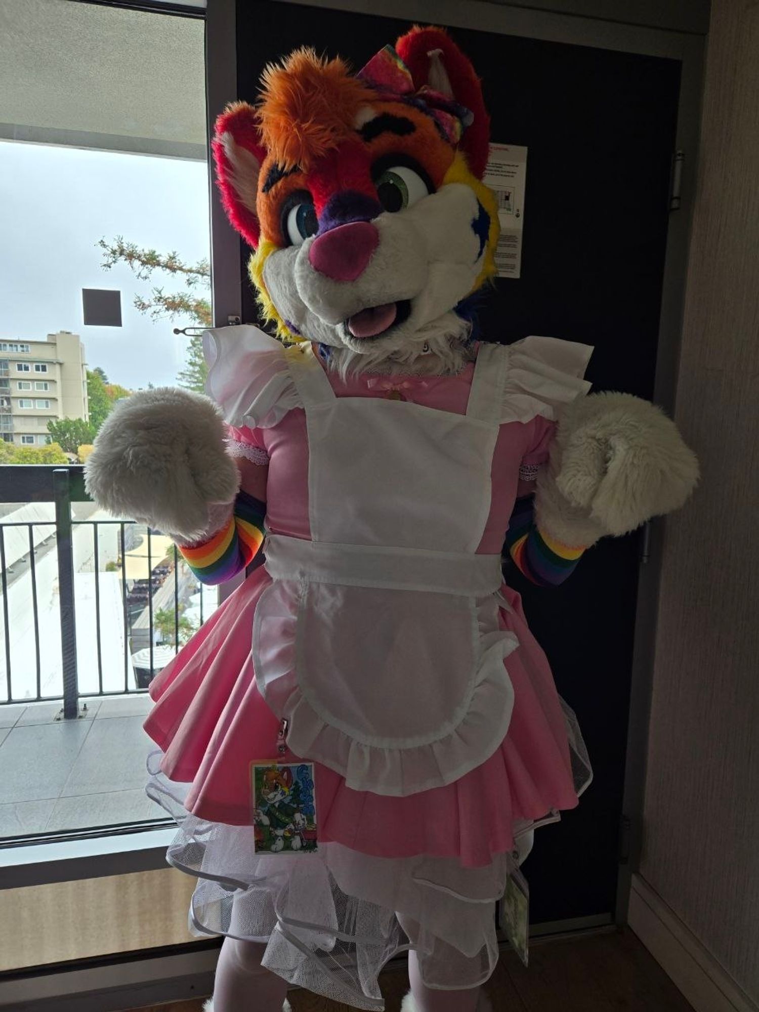 A rainbow toddler puppy dressed in a pink and white frilly maid dress!