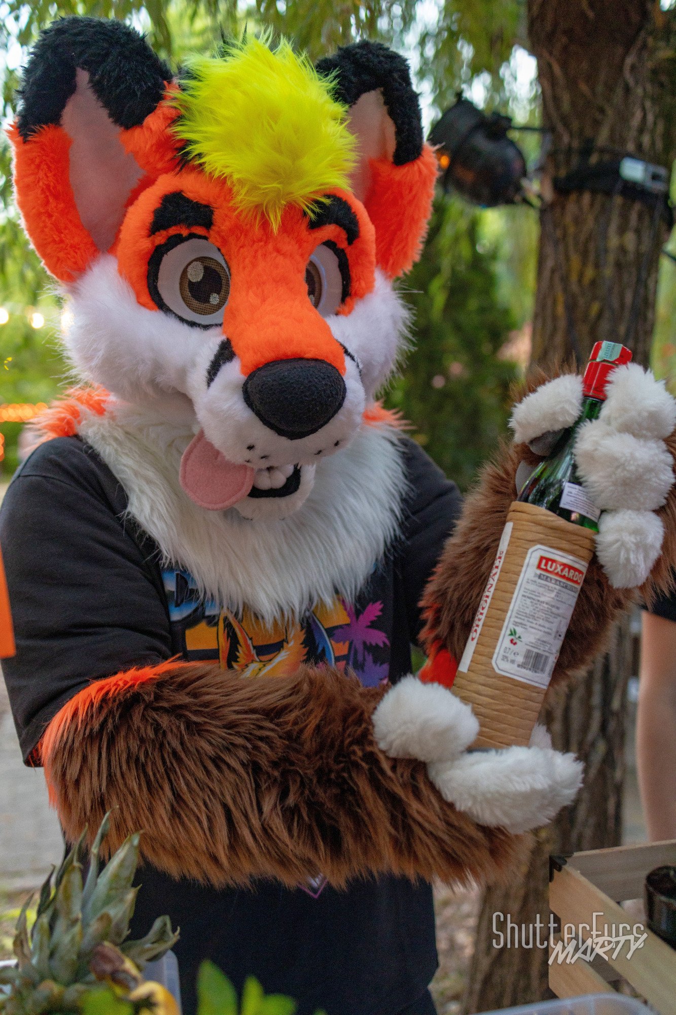 A cute cartoony fox holds a bottle of an alcohol beverage temping viewers to take a sip because it is good so you should drink it yeah