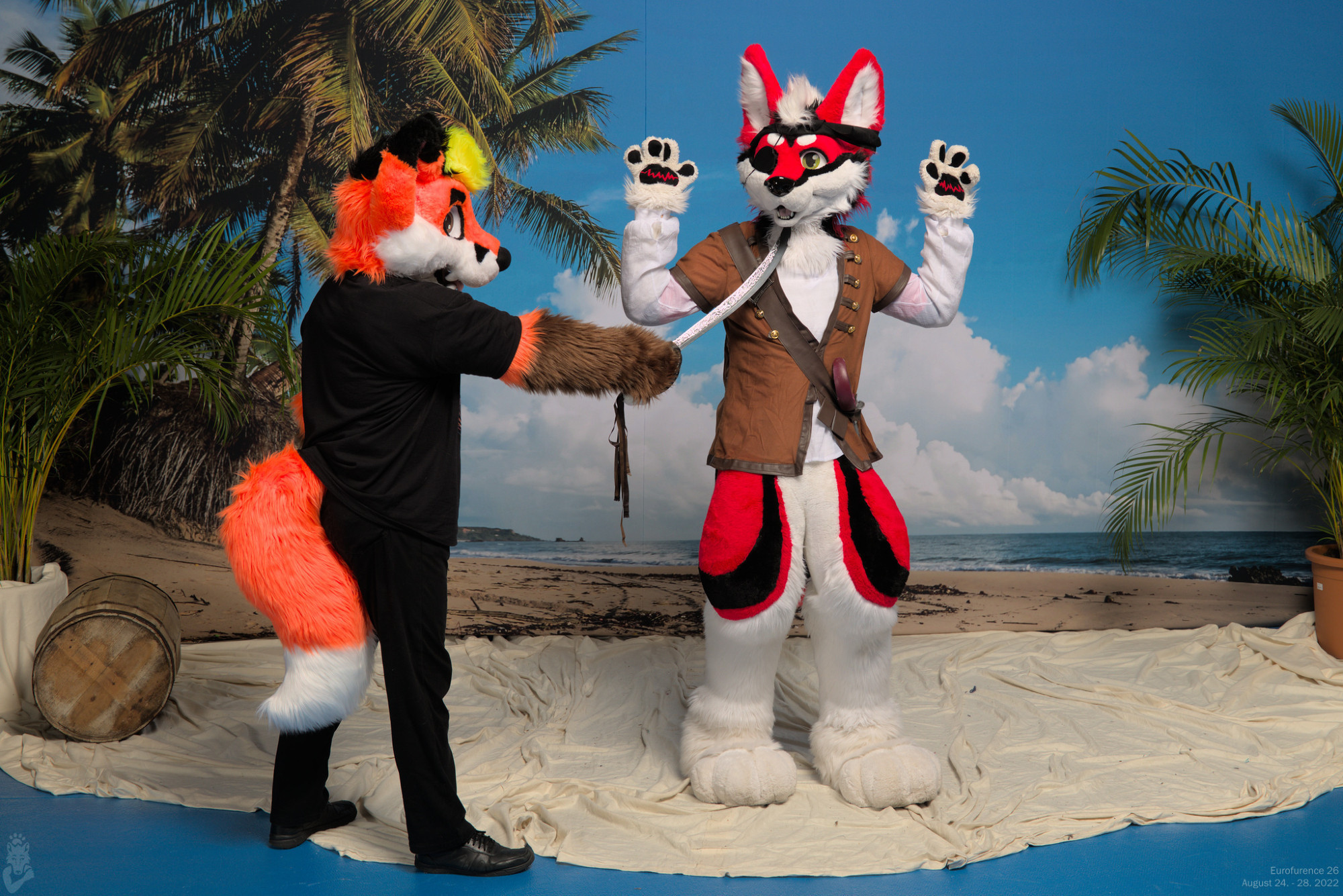 An anthropomorphic fox pirate conquers another pirate who is a red-white-and-black coloured wolf-husky. The wolf-husky puts his arms up and surrenders, thus all his loot belongs to us.